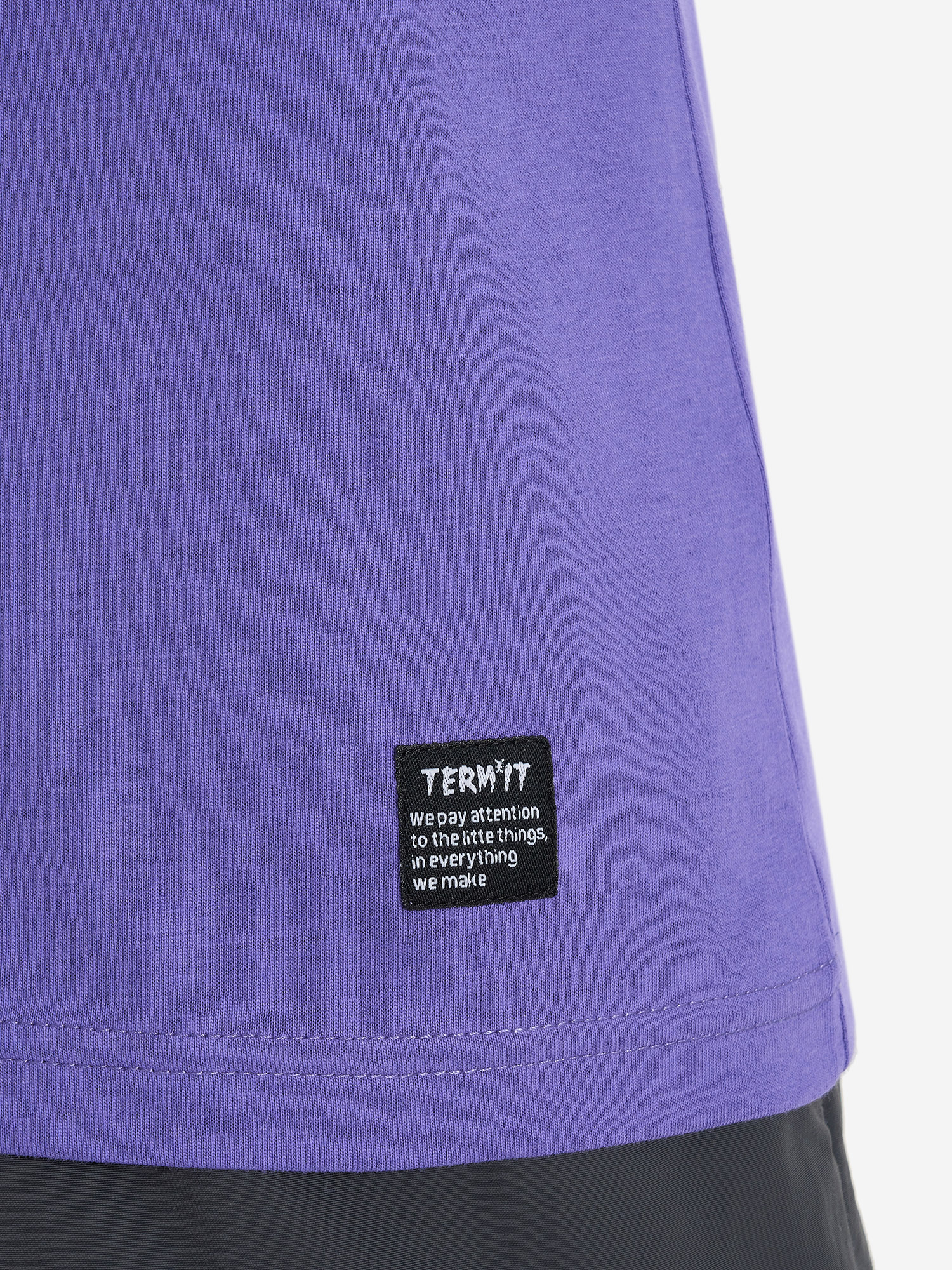 фото Футболка мужская termit, синий