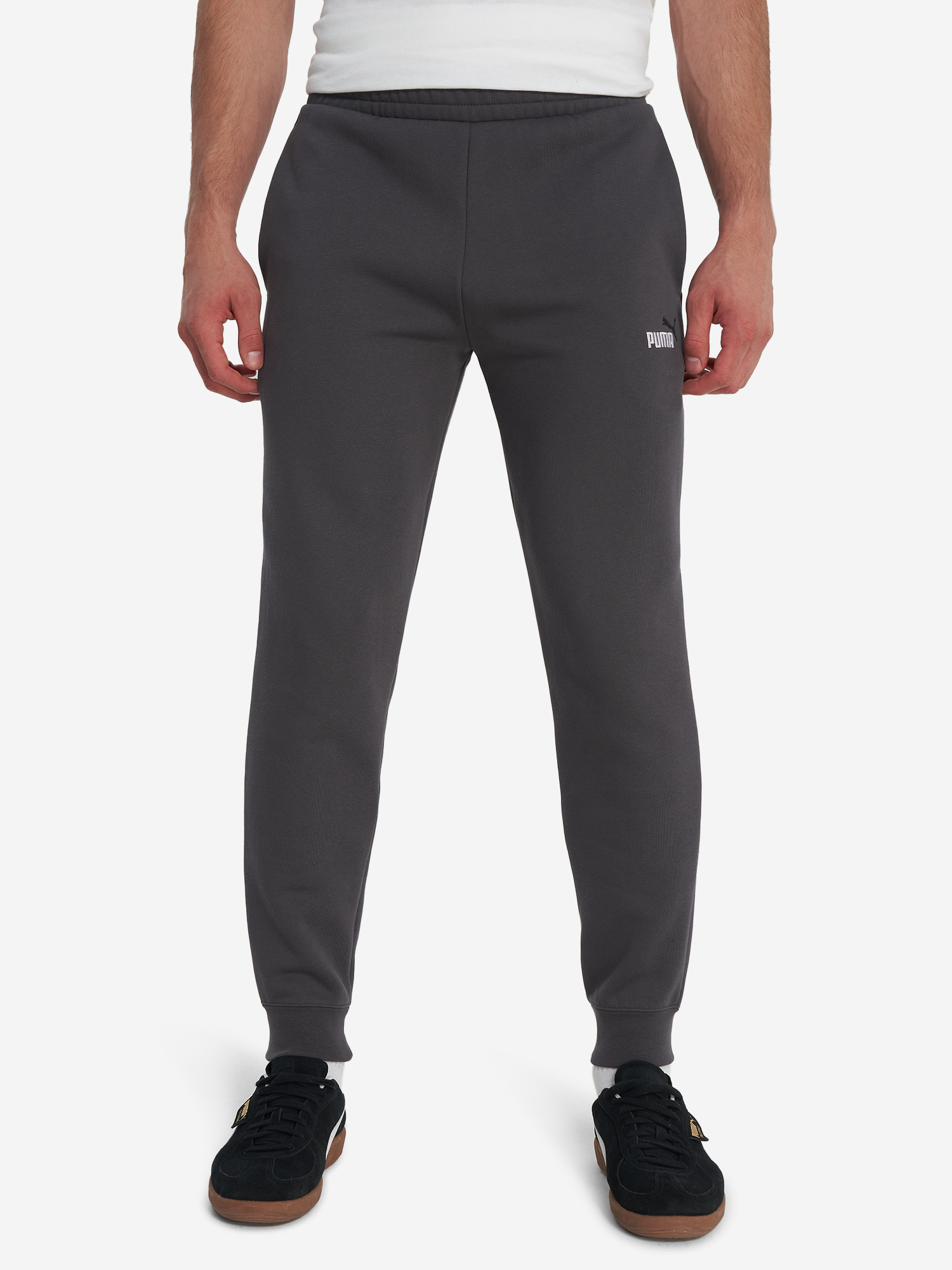фото Брюки мужские puma ess 2 color no. 1 logo, серый