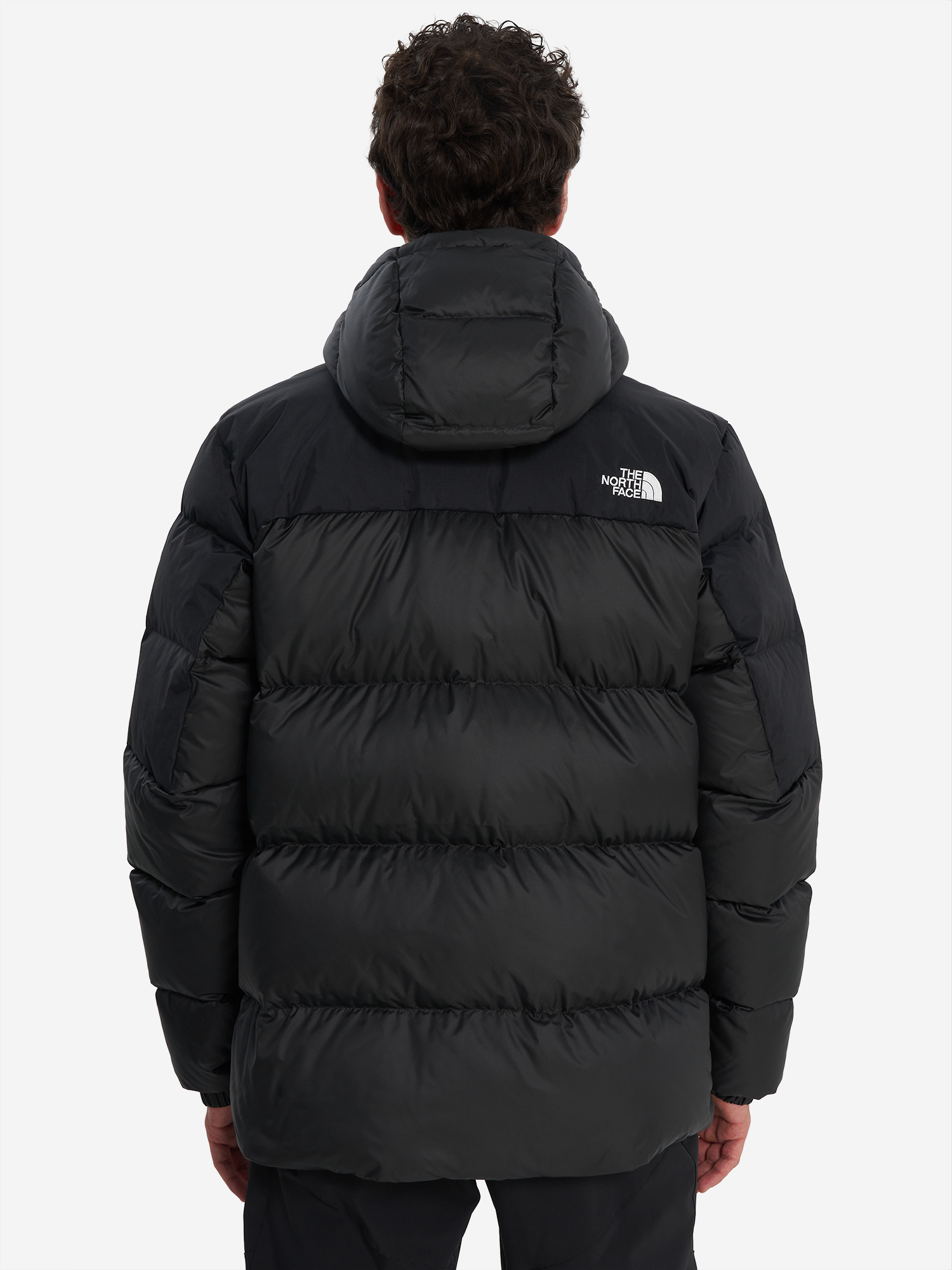 фото Пуховик мужской the north face diablo down 2.0, черный