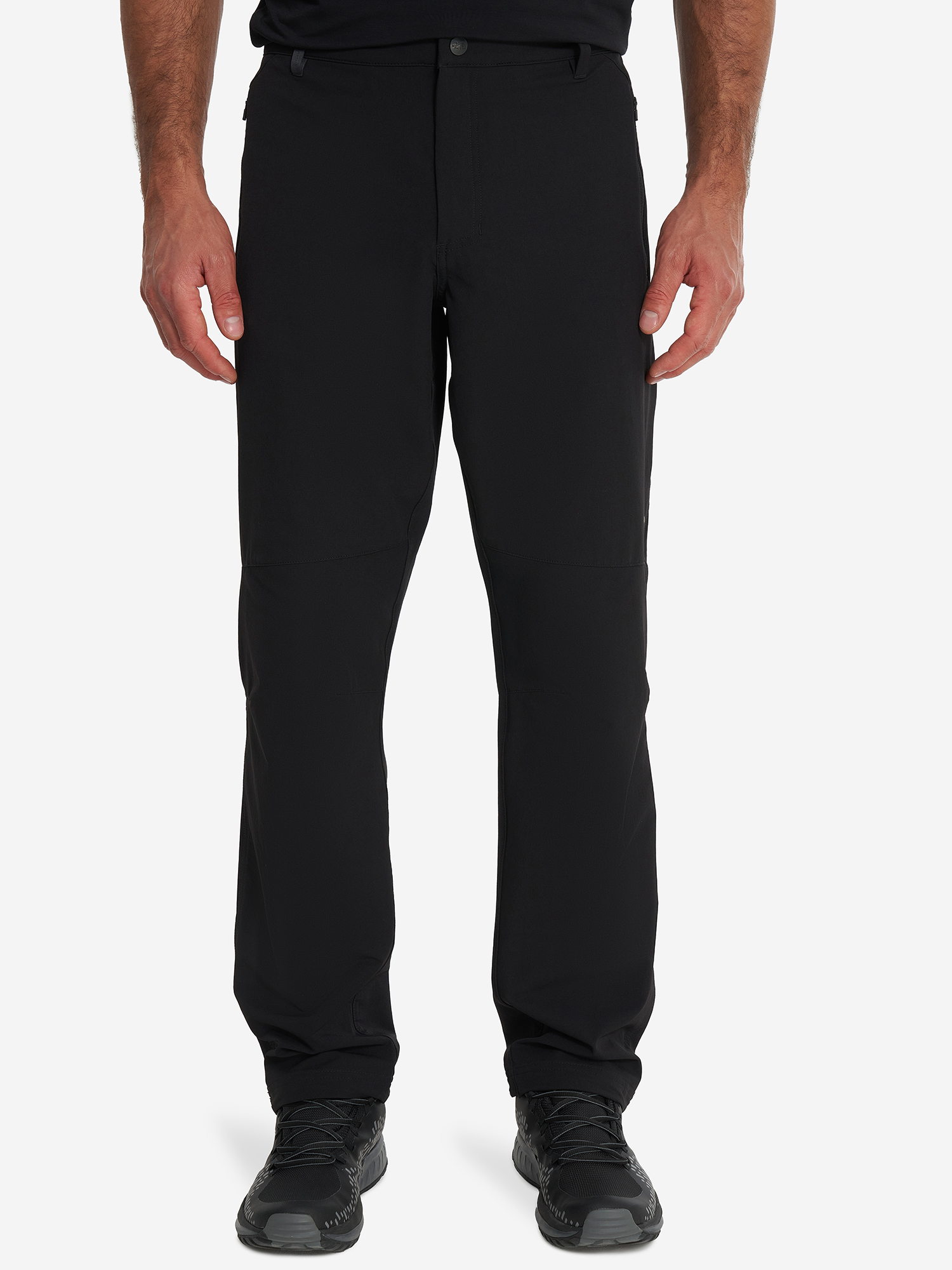 фото Брюки мужские the north face quest softshell, черный