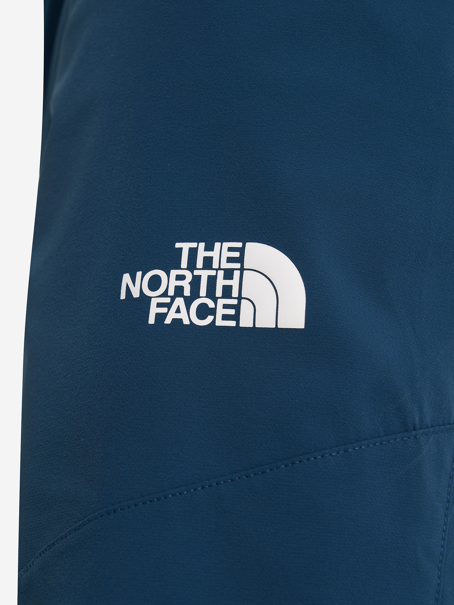 фото Брюки мужские the north face alpine ridge, синий