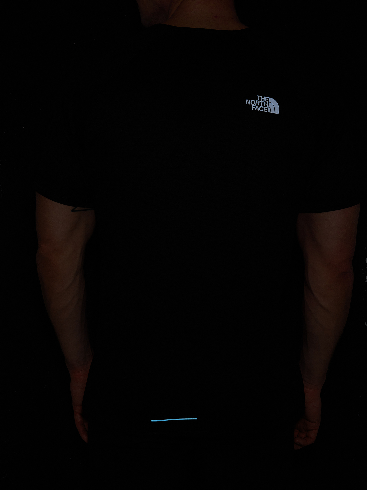 фото Футболка мужская the north face sunriser, черный