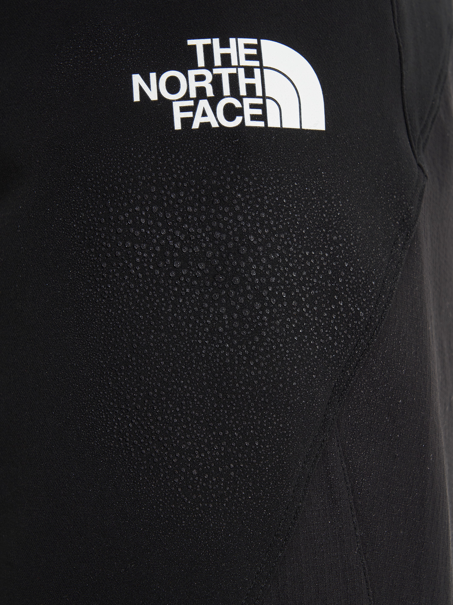 фото Брюки мужские the north face circadian, черный