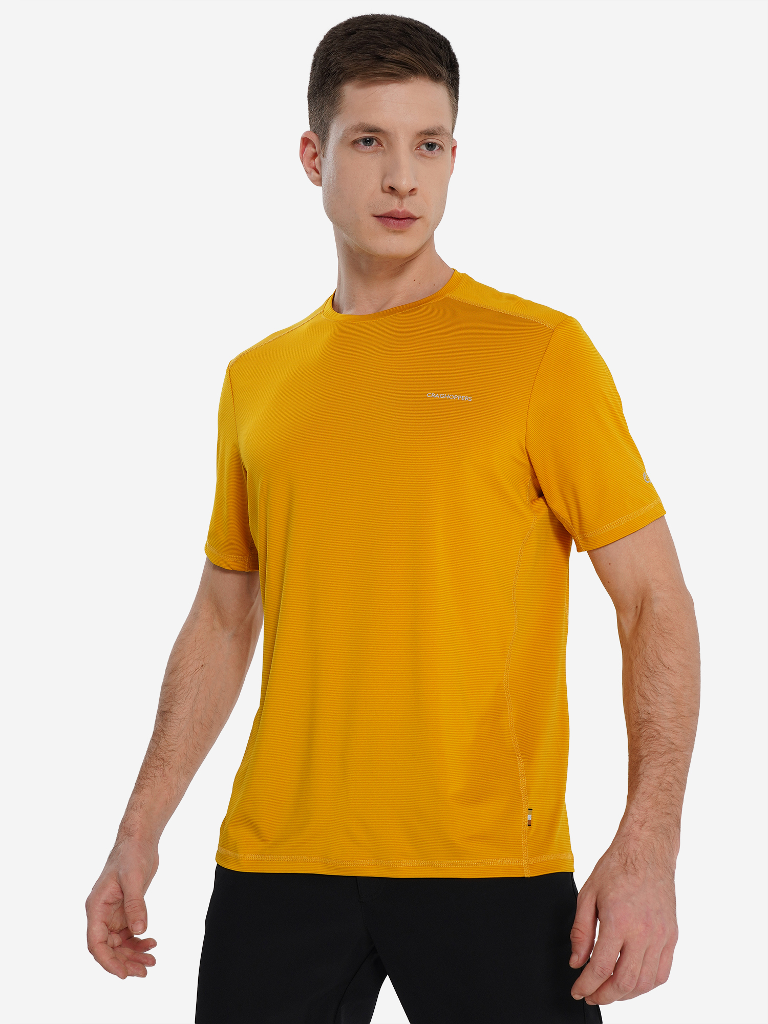 Футболка мужская CRAGHOPPERS Charon, Желтый
Футболка мужская CRAGHOPPERS Charon, Желтый
