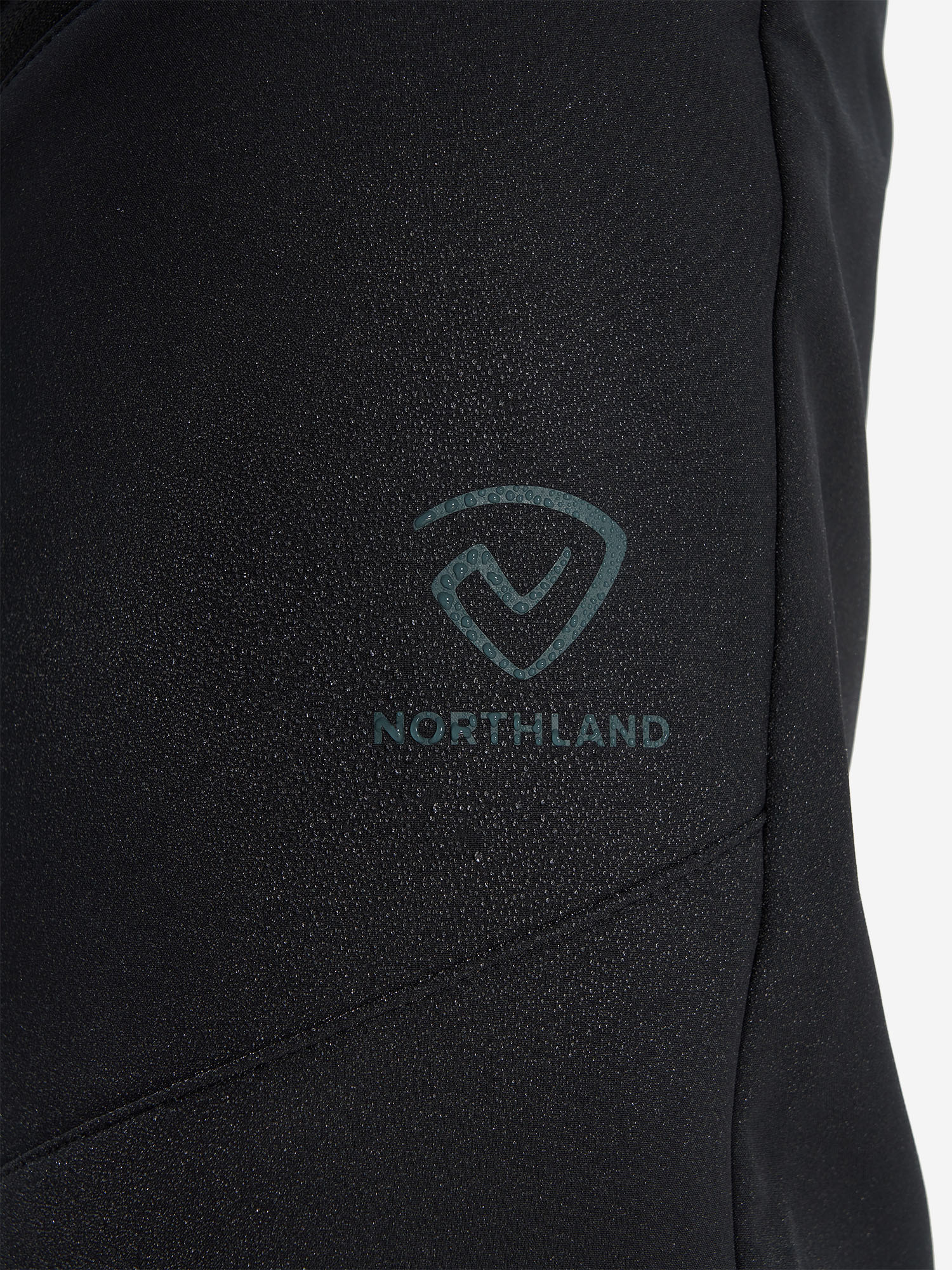 фото Брюки утепленные мужские northland, черный