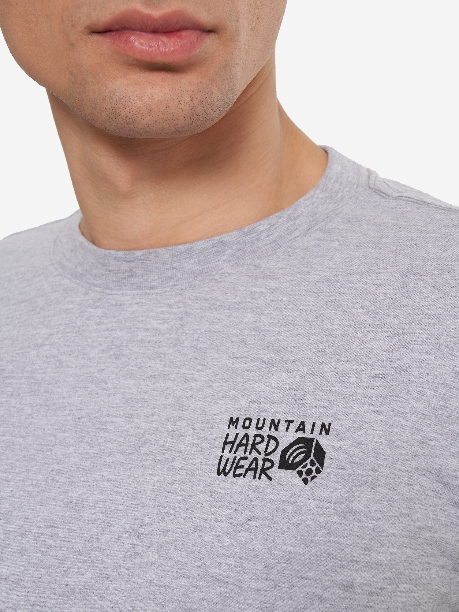фото Лонгслив мужской mountain hardwear back logo, серый