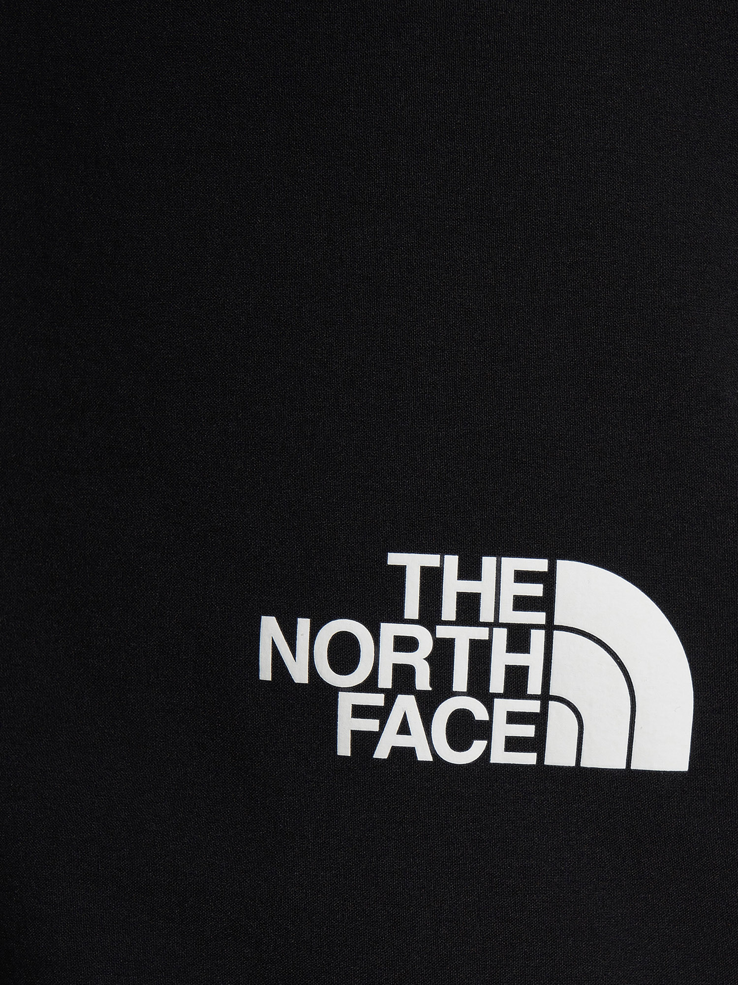 фото Брюки мужские the north face speedlight, черный