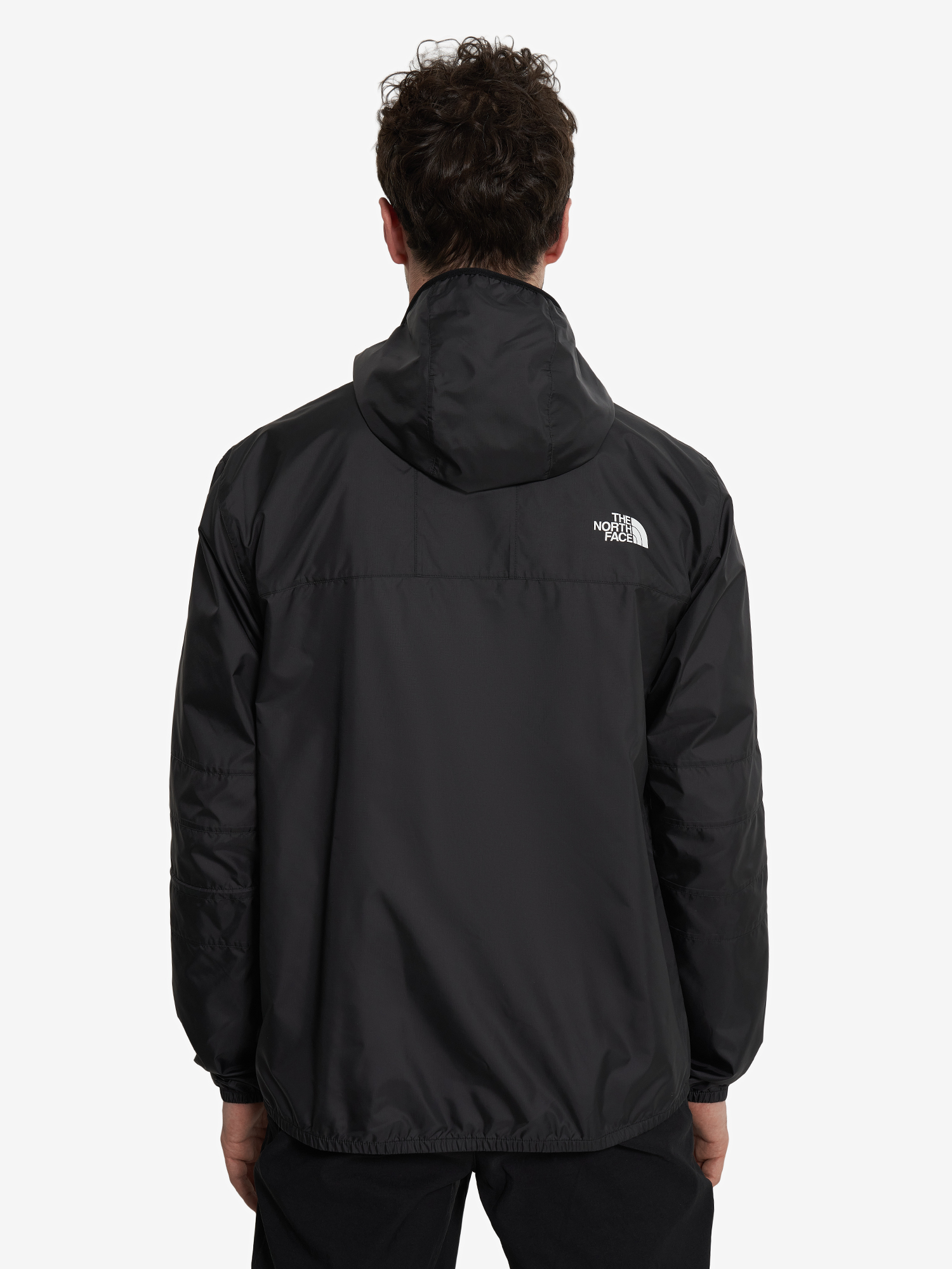 фото Ветровка мужская the north face seasonal mountain, черный