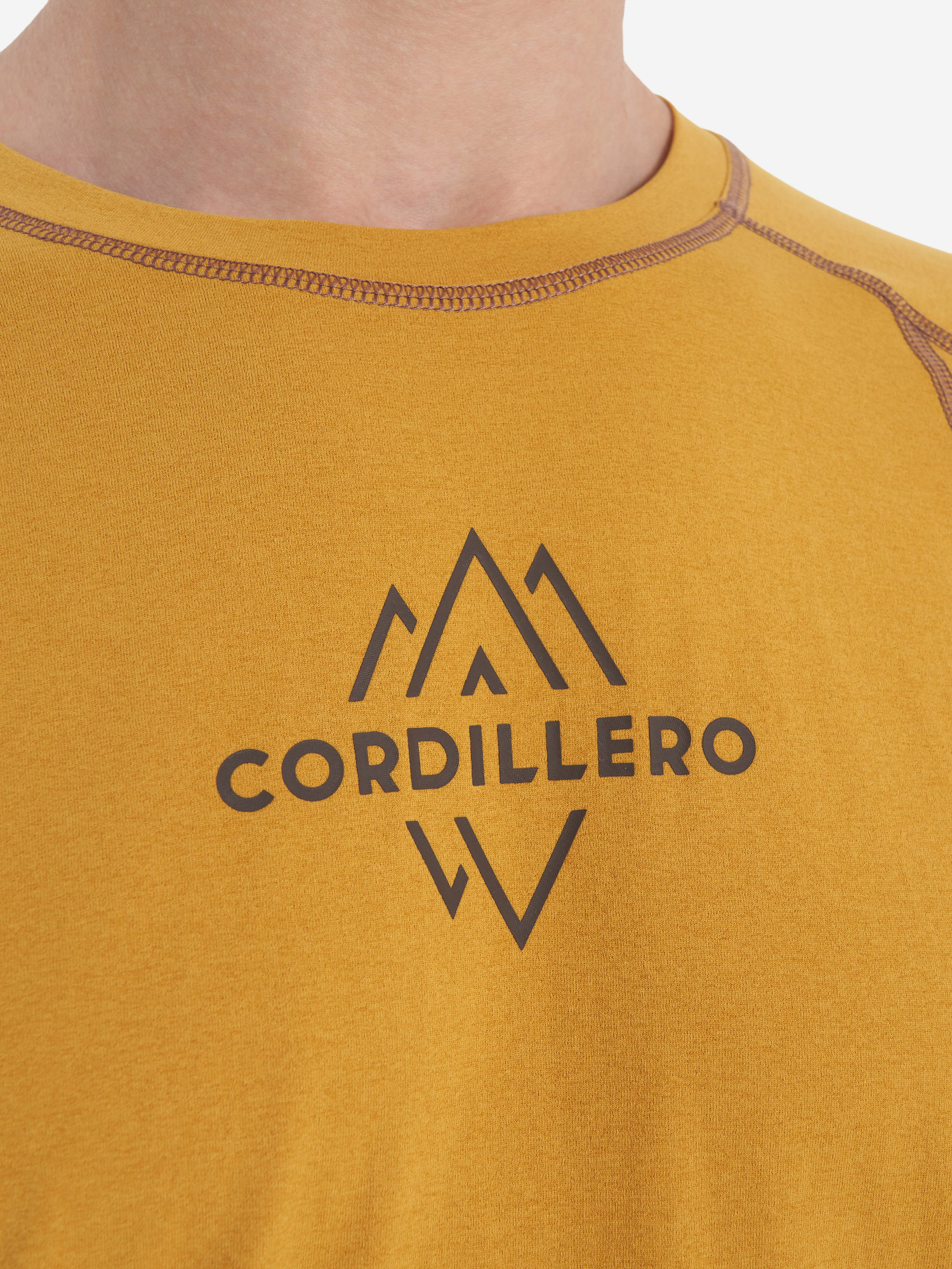 фото Лонгслив мужской cordillero, желтый
