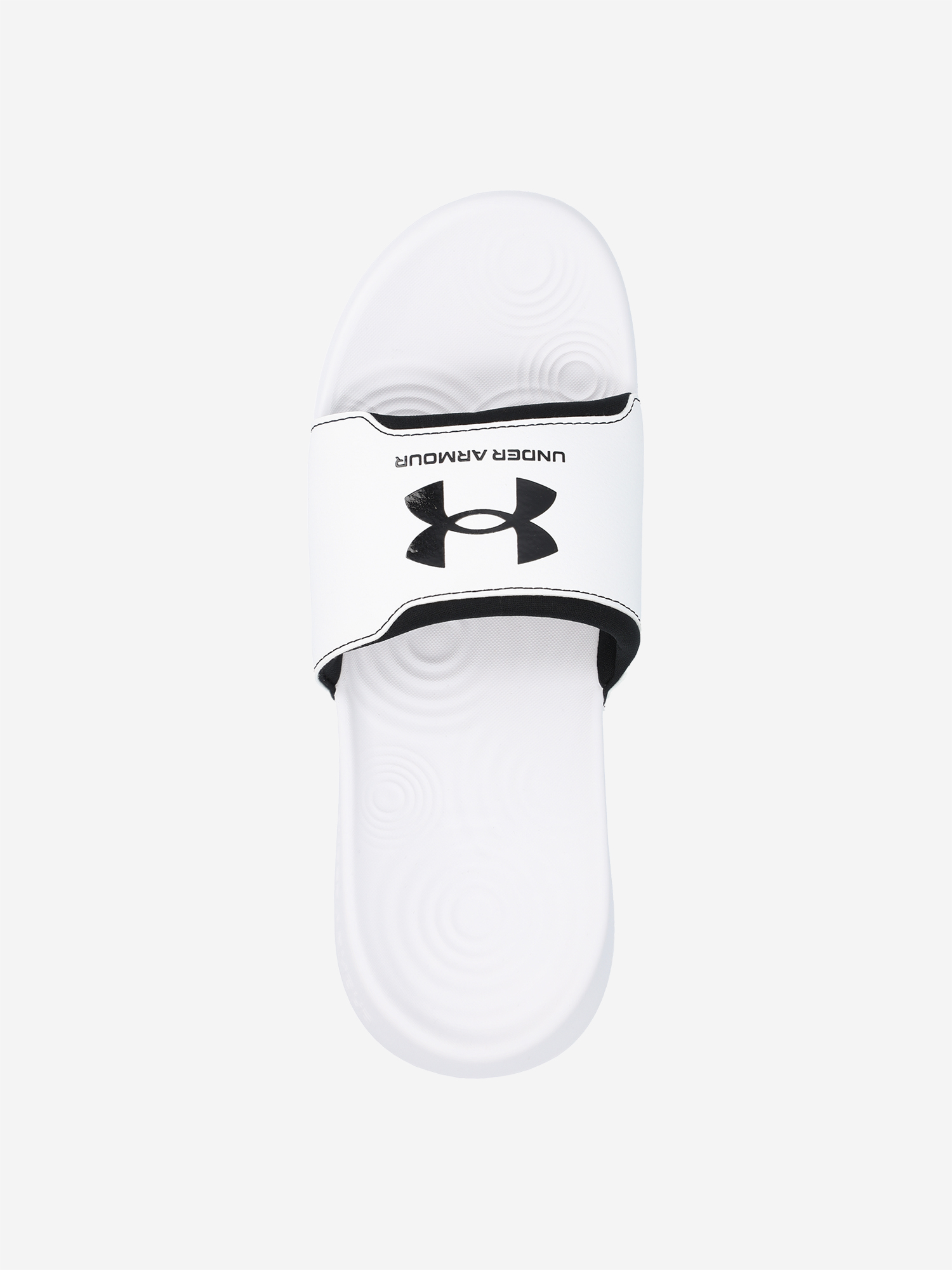 фото Шлепанцы мужские under armour ignite select, белый