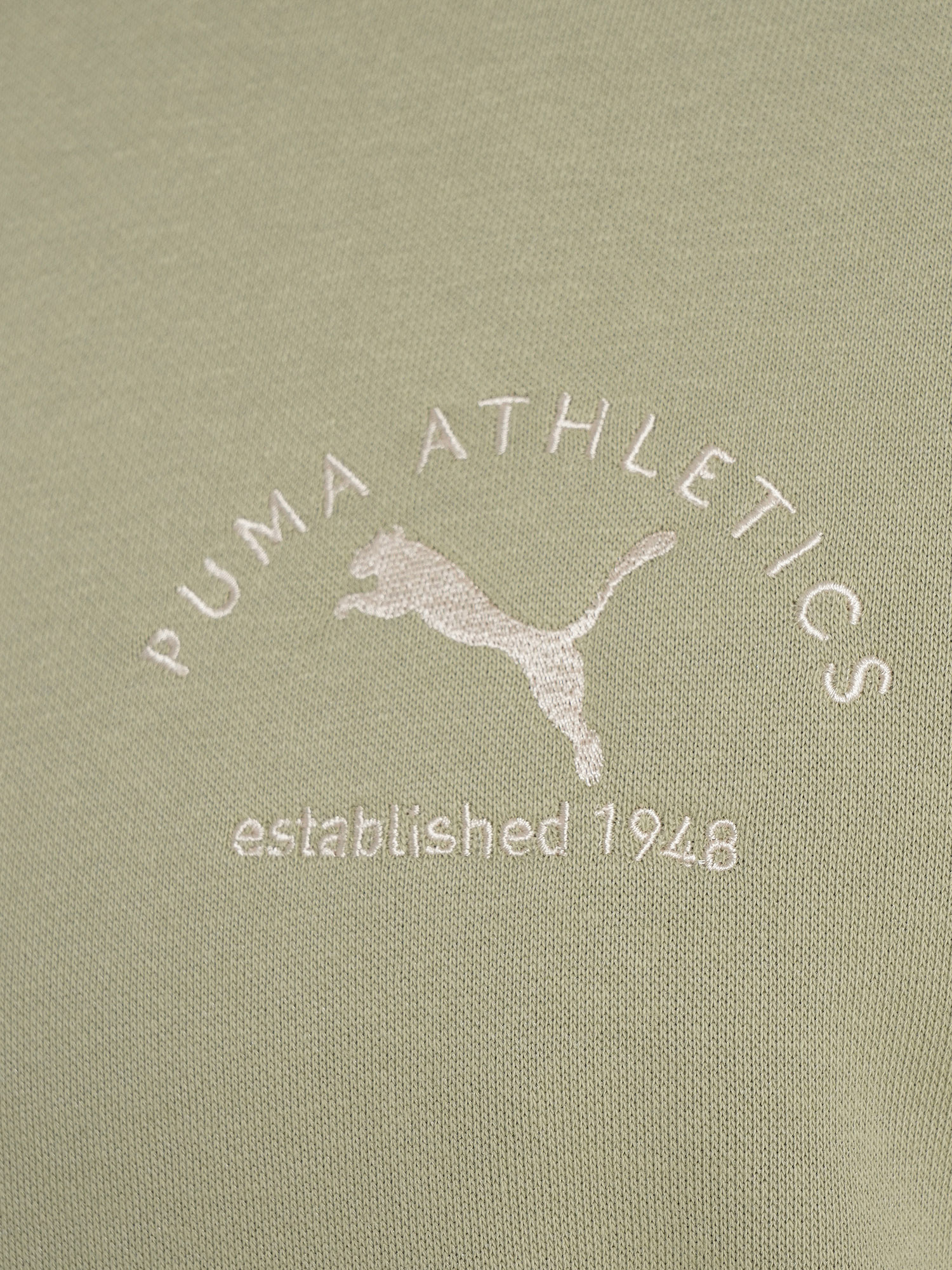 фото Худи мужское puma class graphic, бежевый