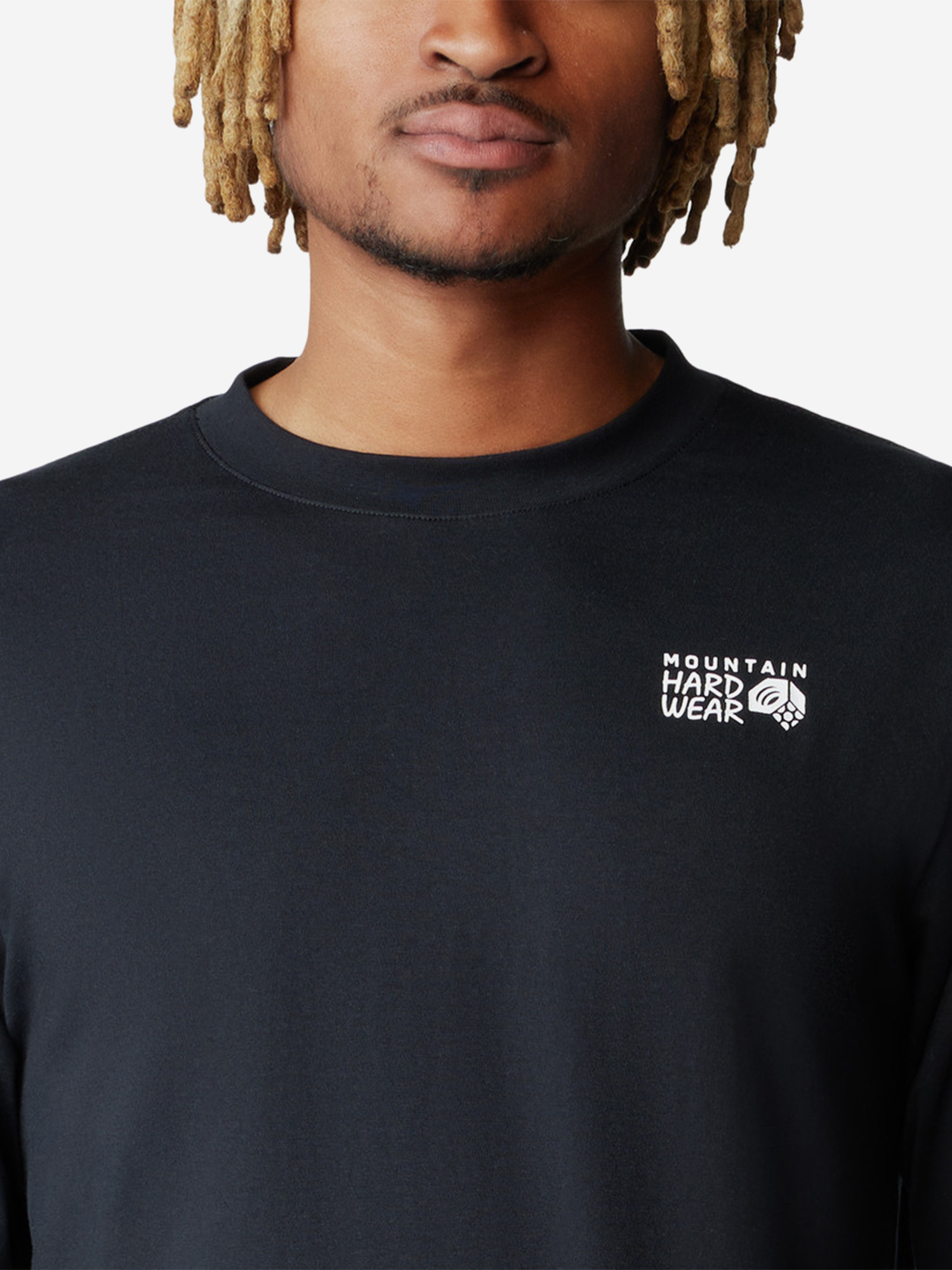 фото Лонгслив мужской mountain hardwear back logo, черный