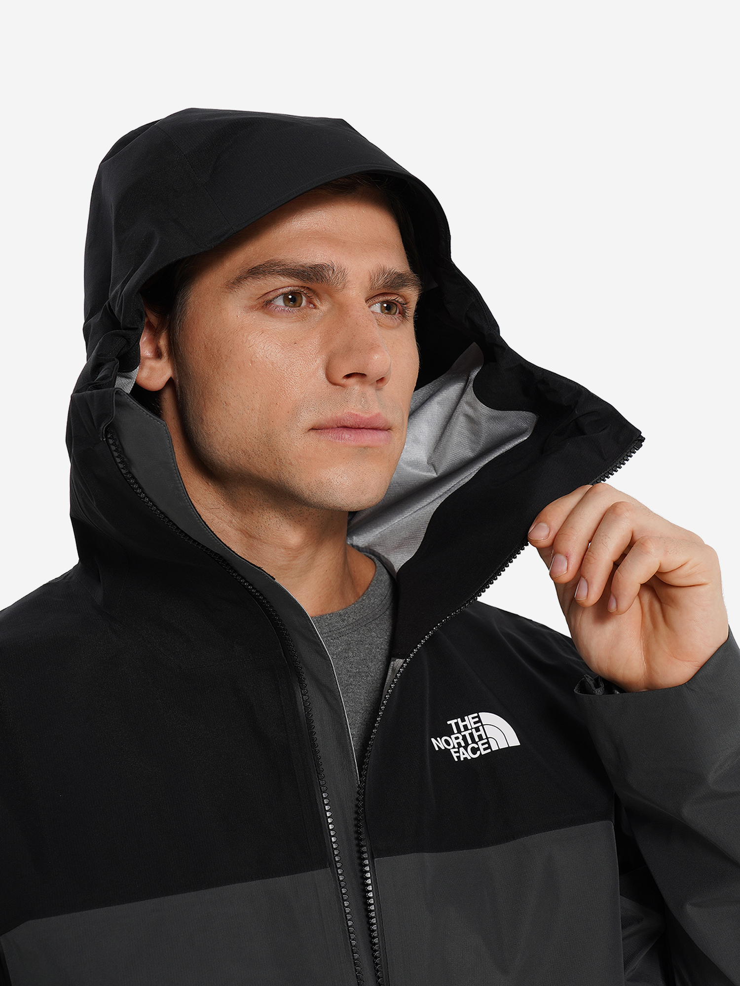 фото Куртка мембранная мужская the north face jazzi 3 l gtx, серый
