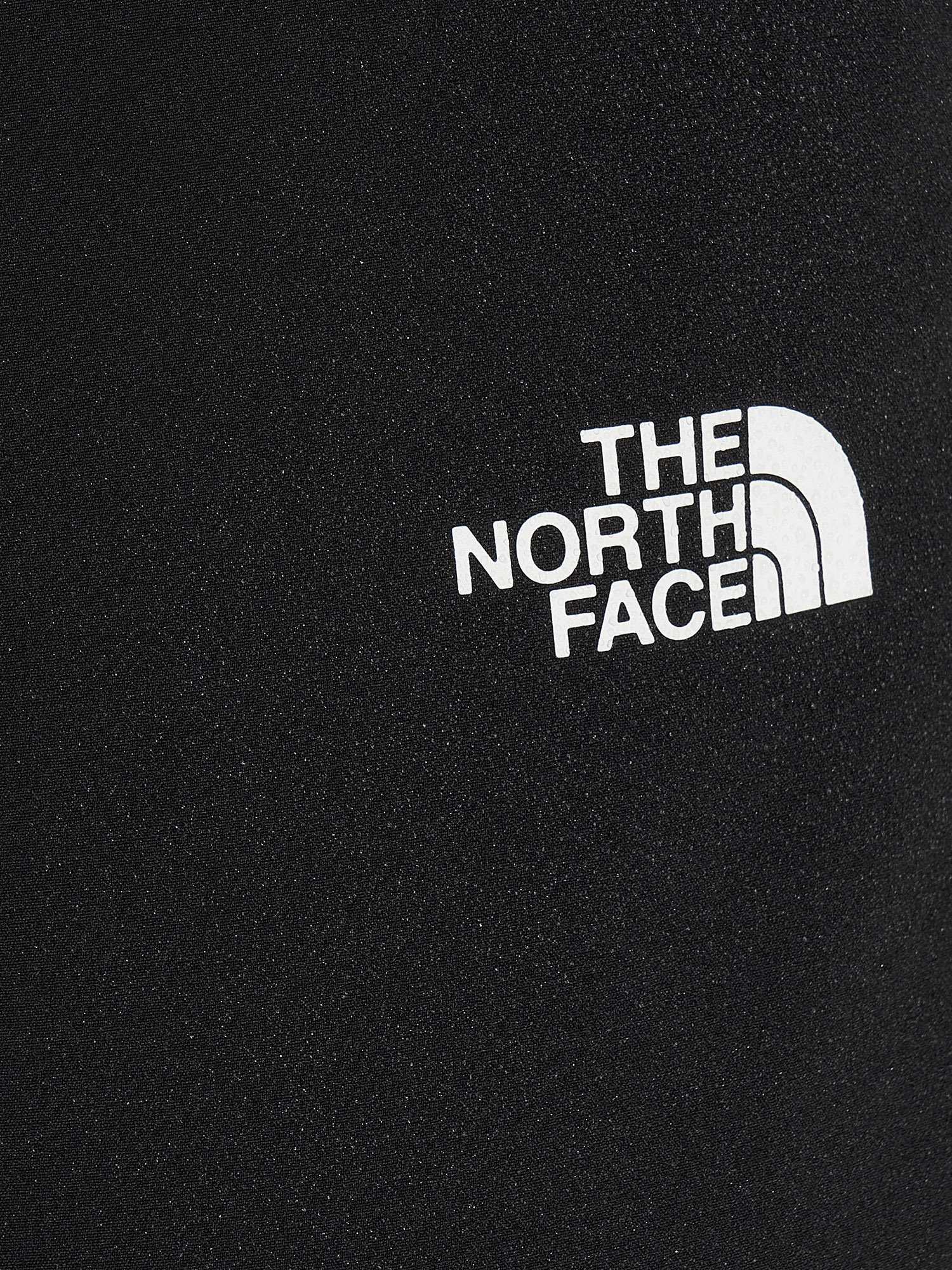 фото Брюки женские the north face grivola, черный