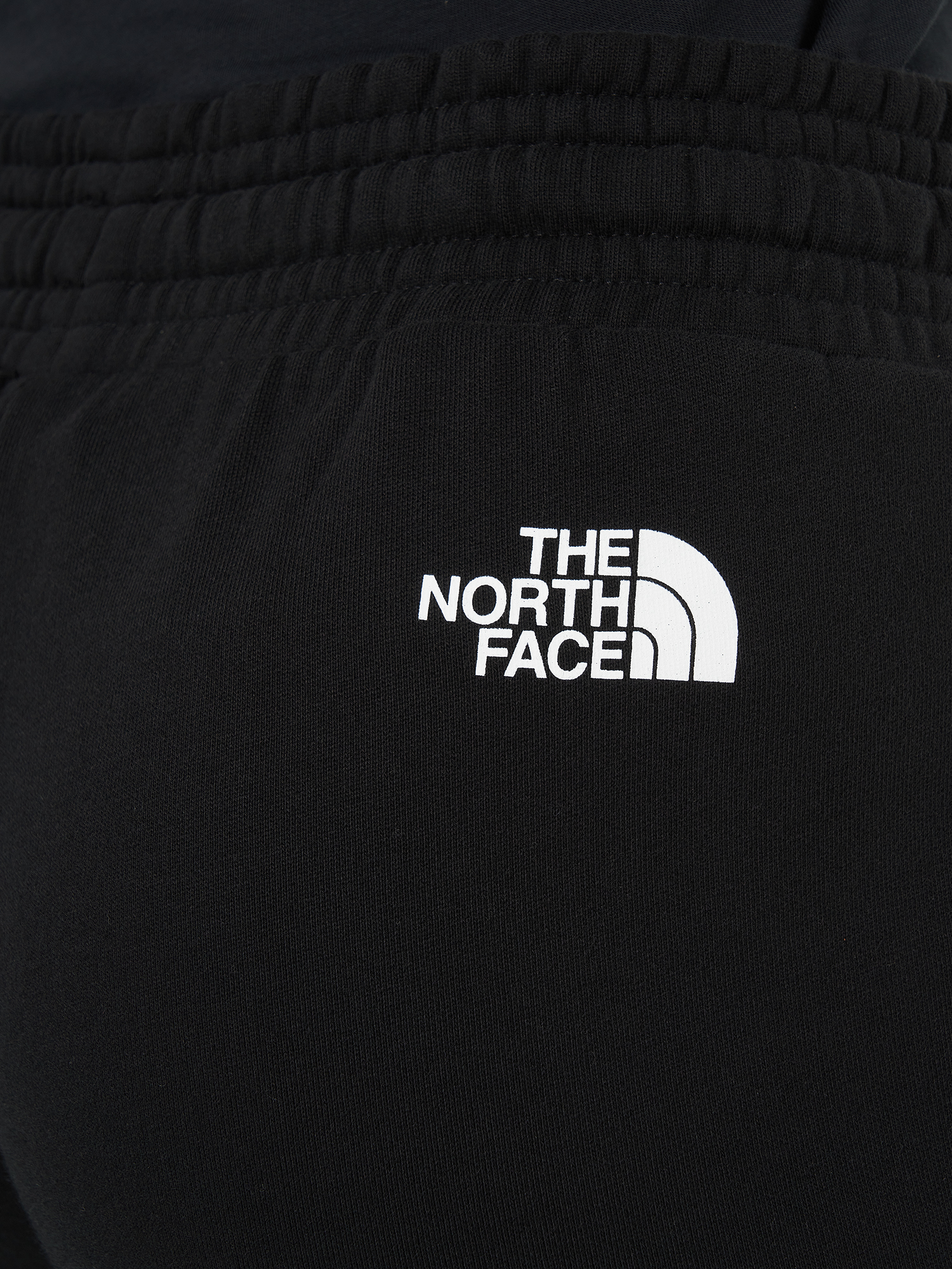 фото Брюки женские the north face standard, черный