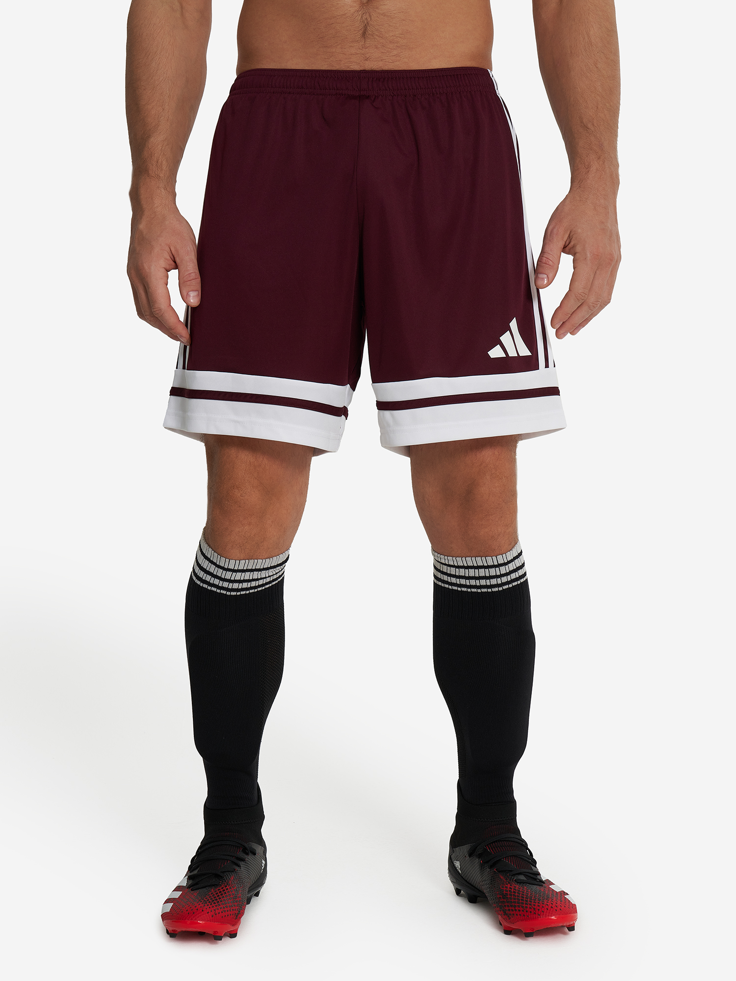 фото Шорты мужские adidas squa25, красный