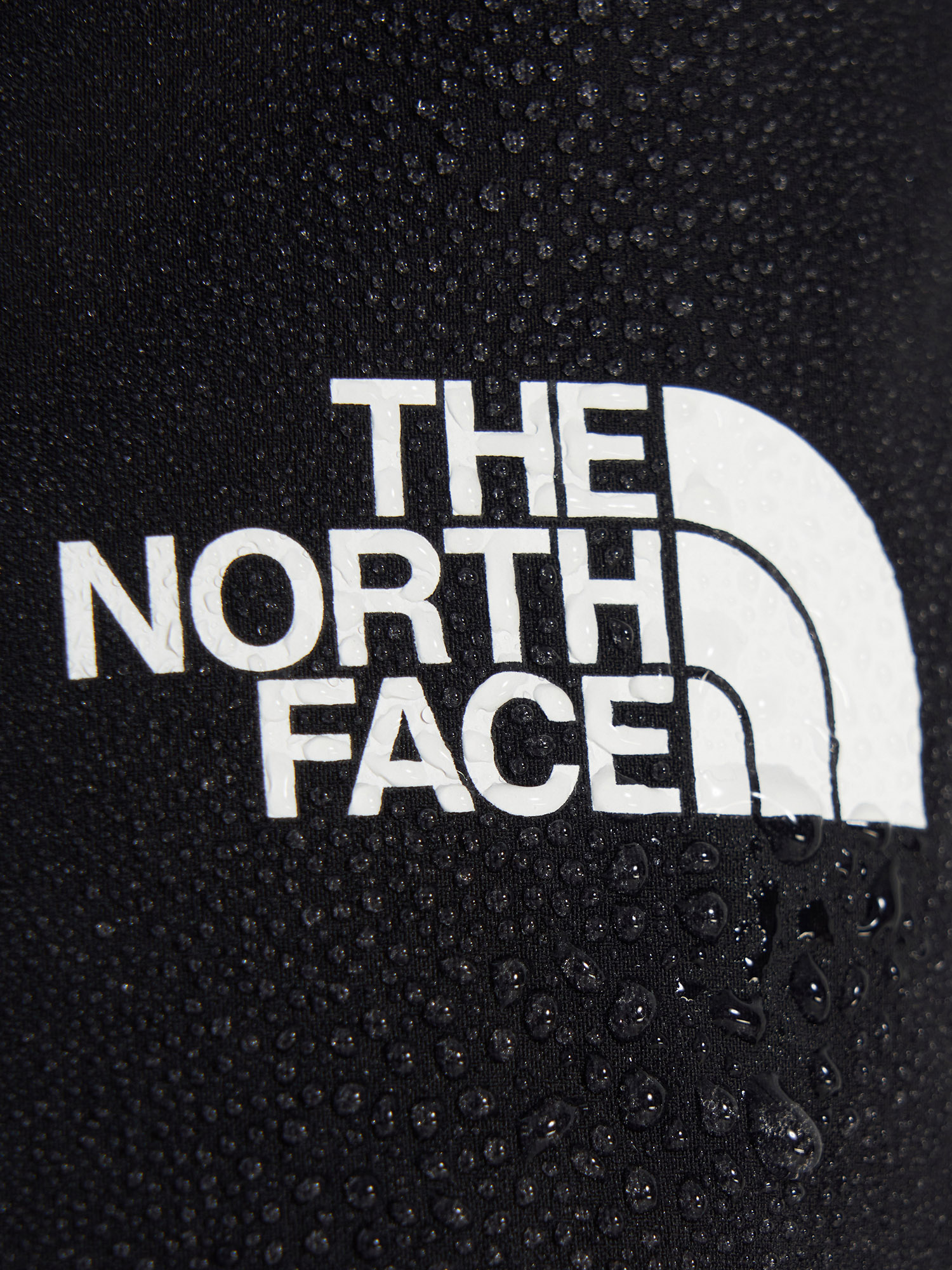 фото Брюки утепленные мужские the north face winter exploration reg, черный