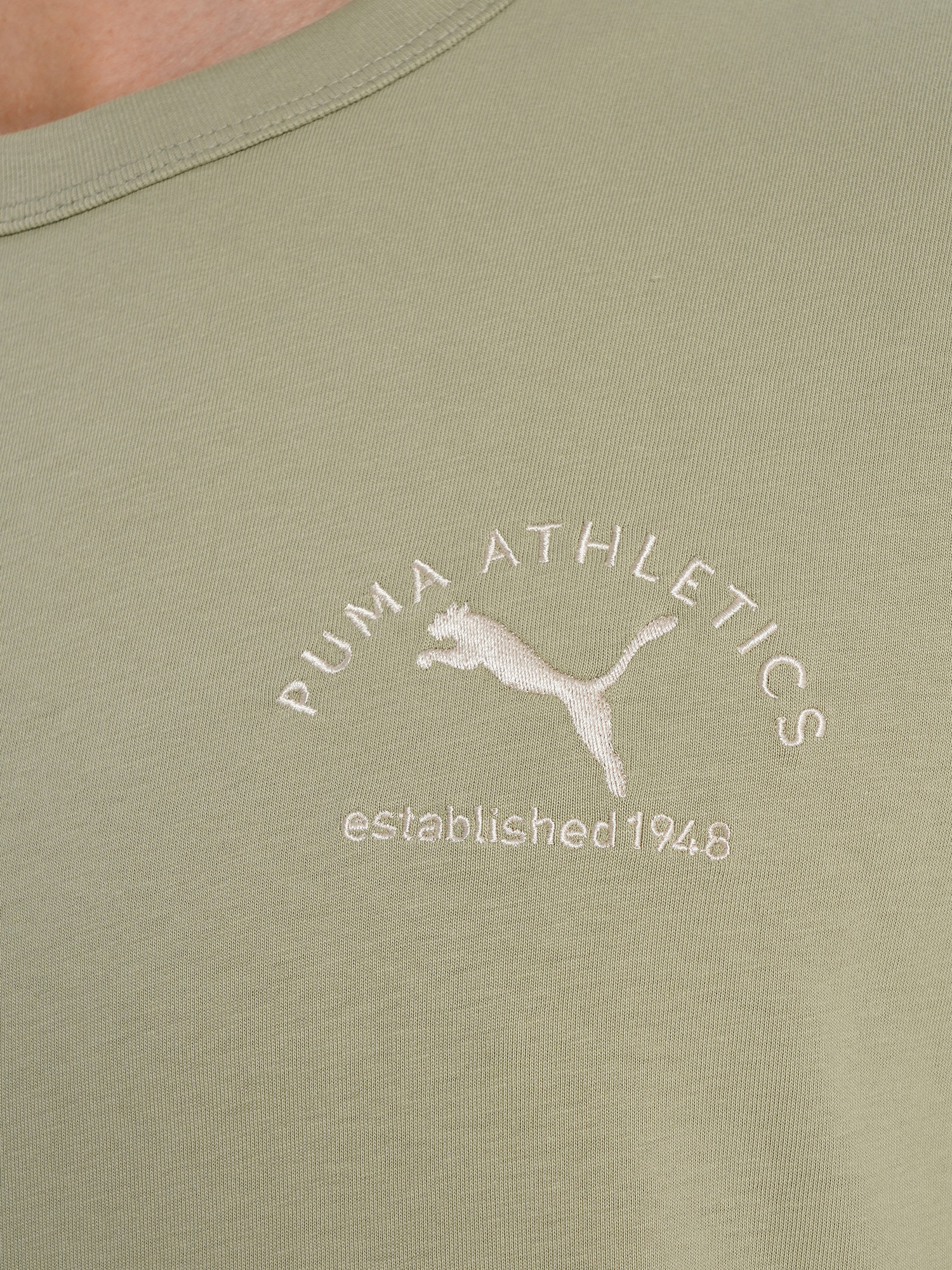 фото Футболка мужская puma class graphic, бежевый