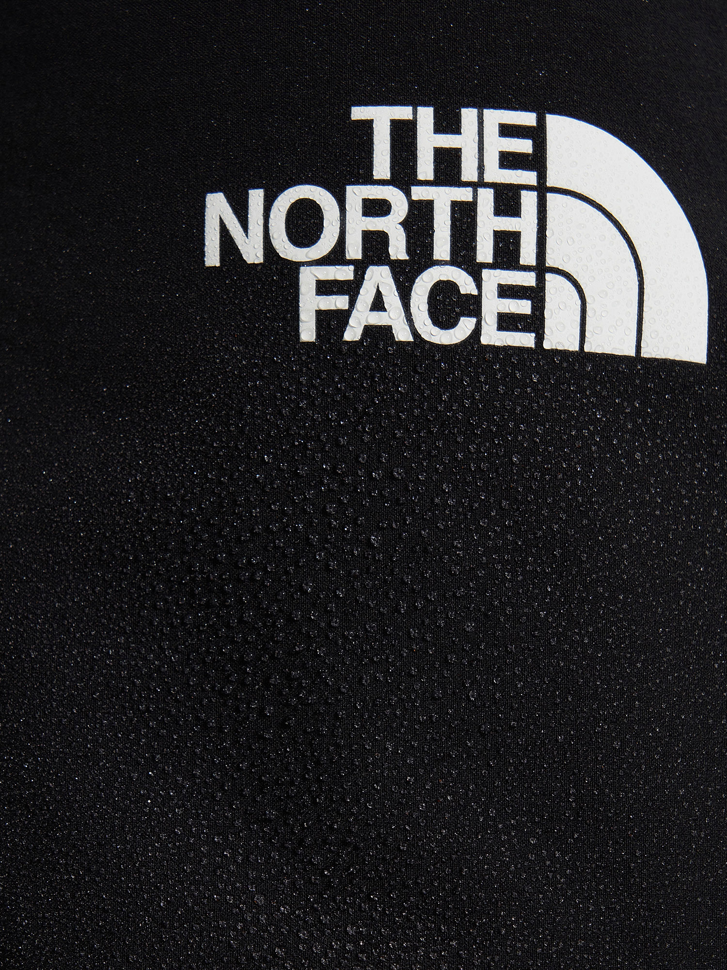 фото Брюки мужские the north face speedlight, черный