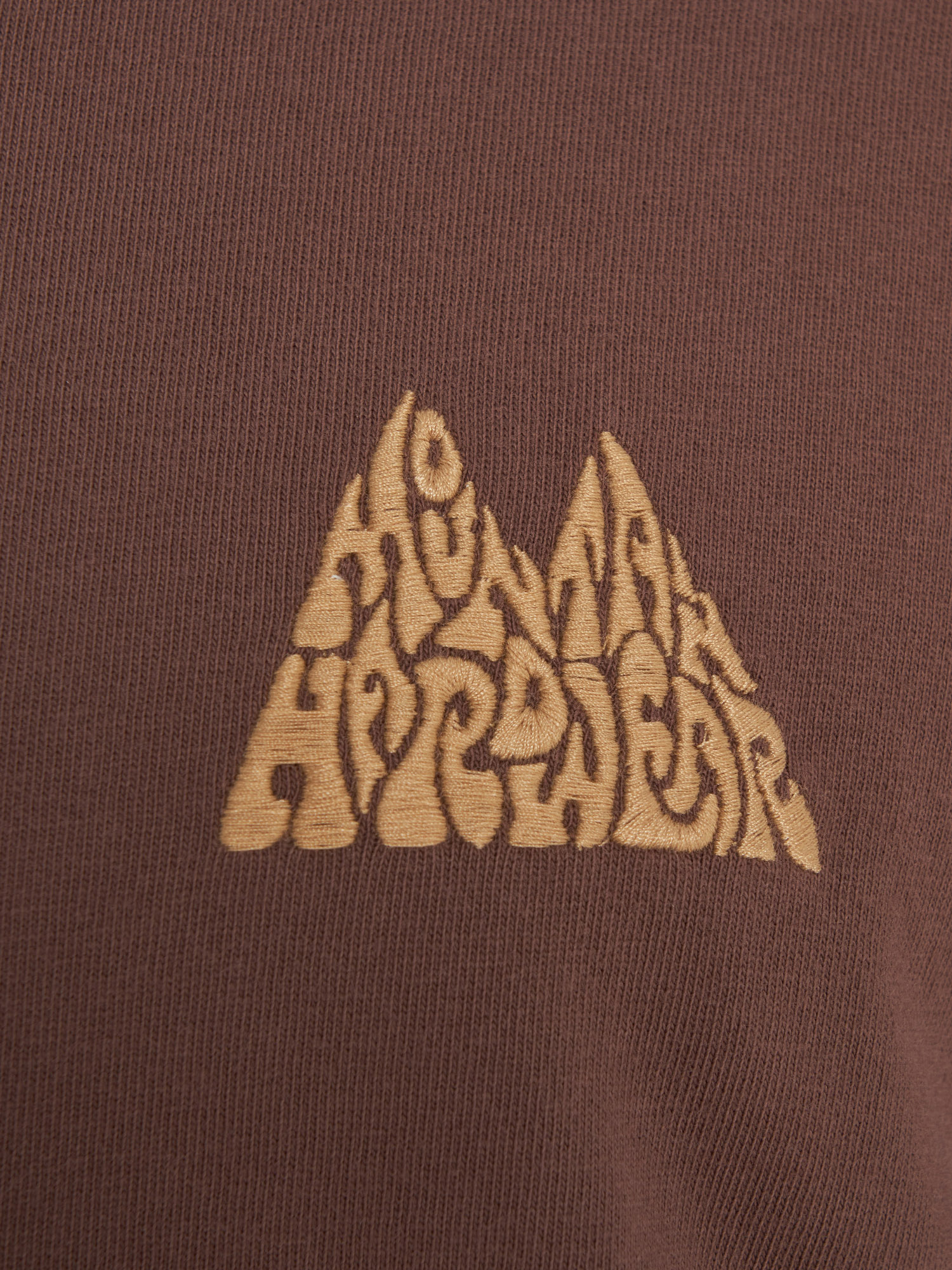 фото Футболка мужская mountain hardwear mountains collab short sleeve, коричневый