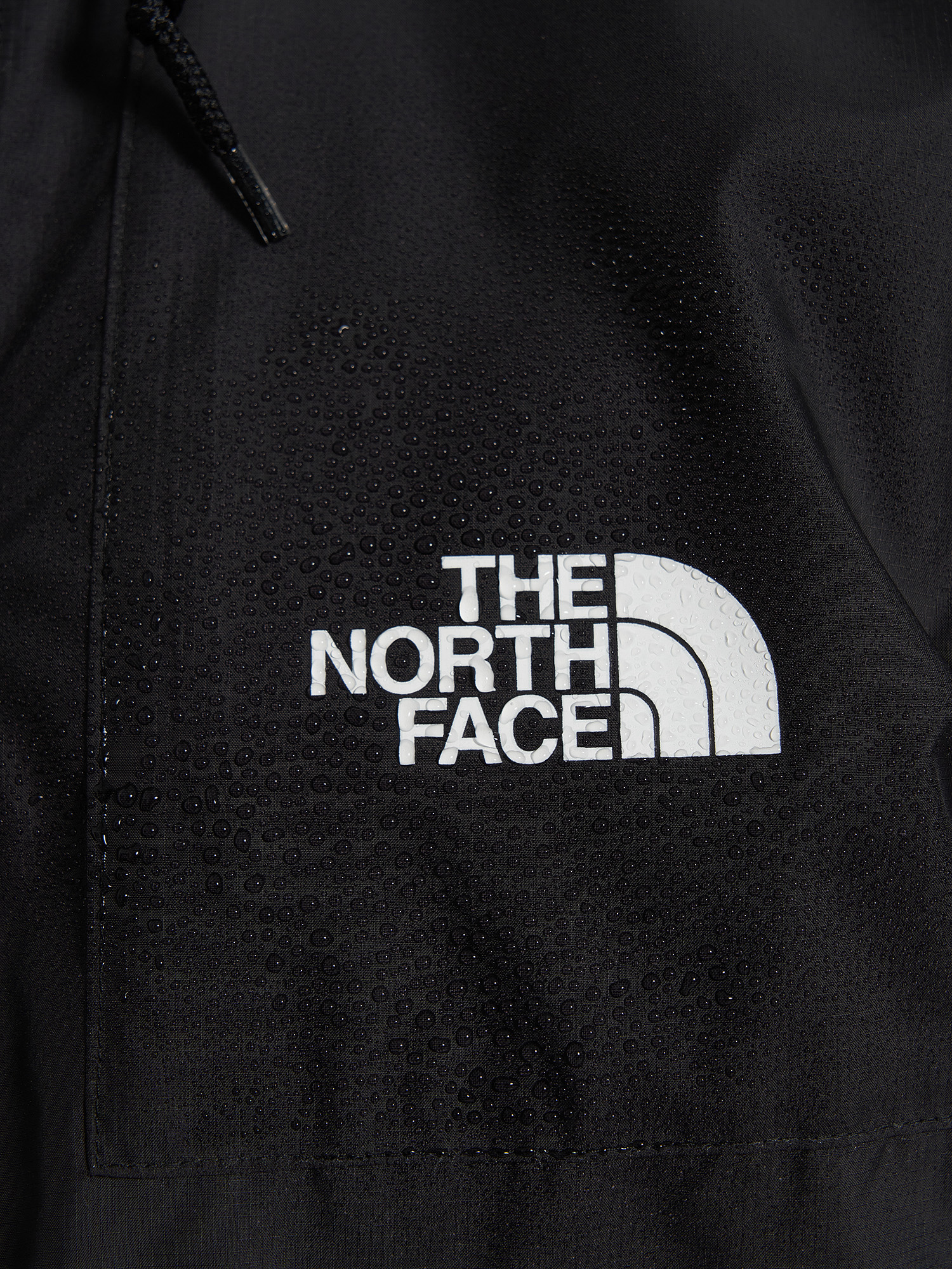 фото Ветровка мужская the north face seasonal mountain, черный