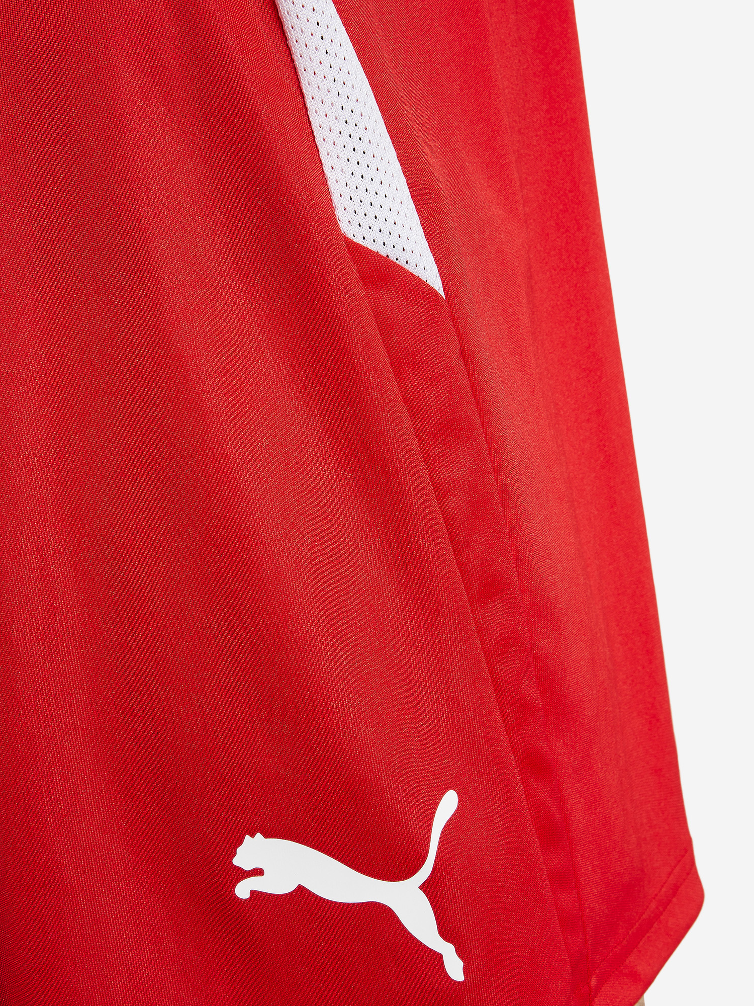 фото Шорты мужские puma teamliga, красный