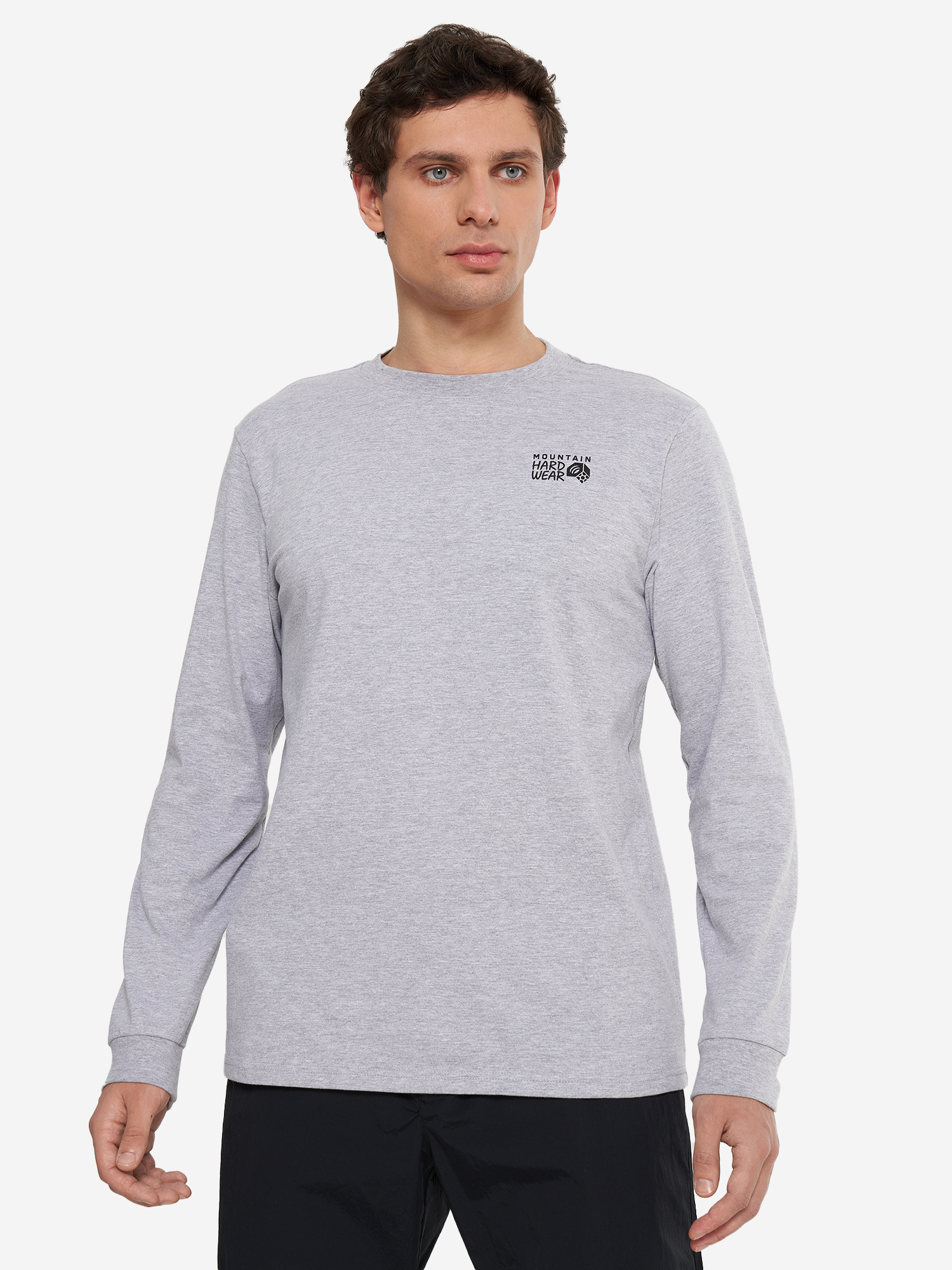 фото Лонгслив мужской mountain hardwear back logo, серый
