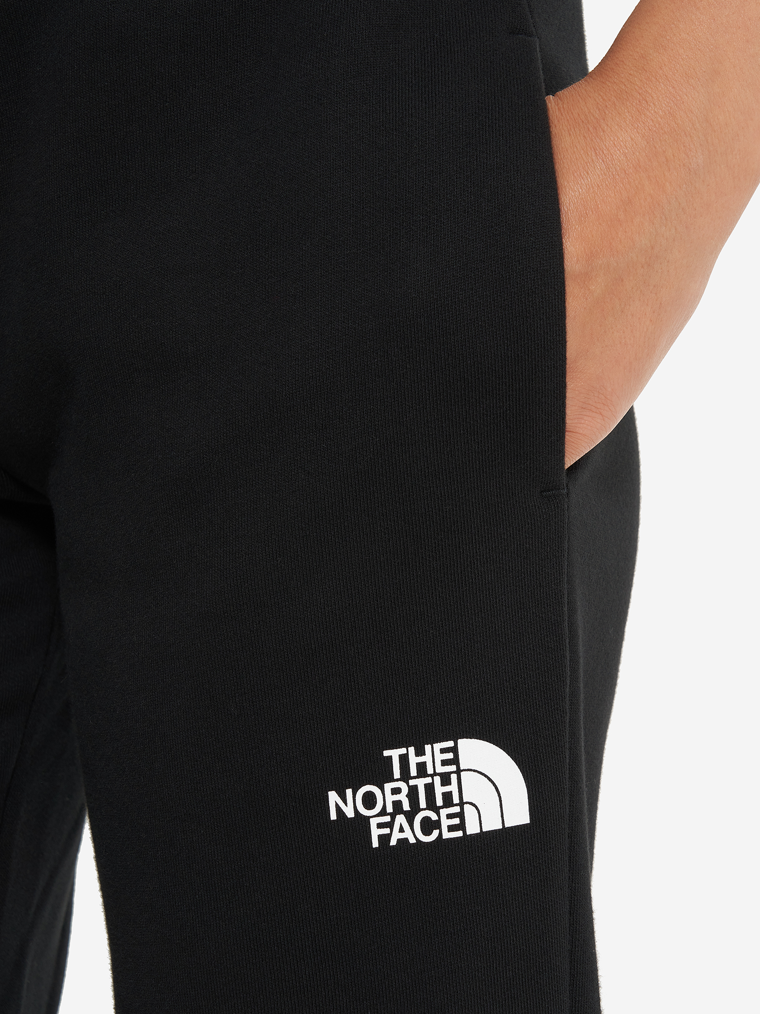 фото Брюки женские the north face standard, черный