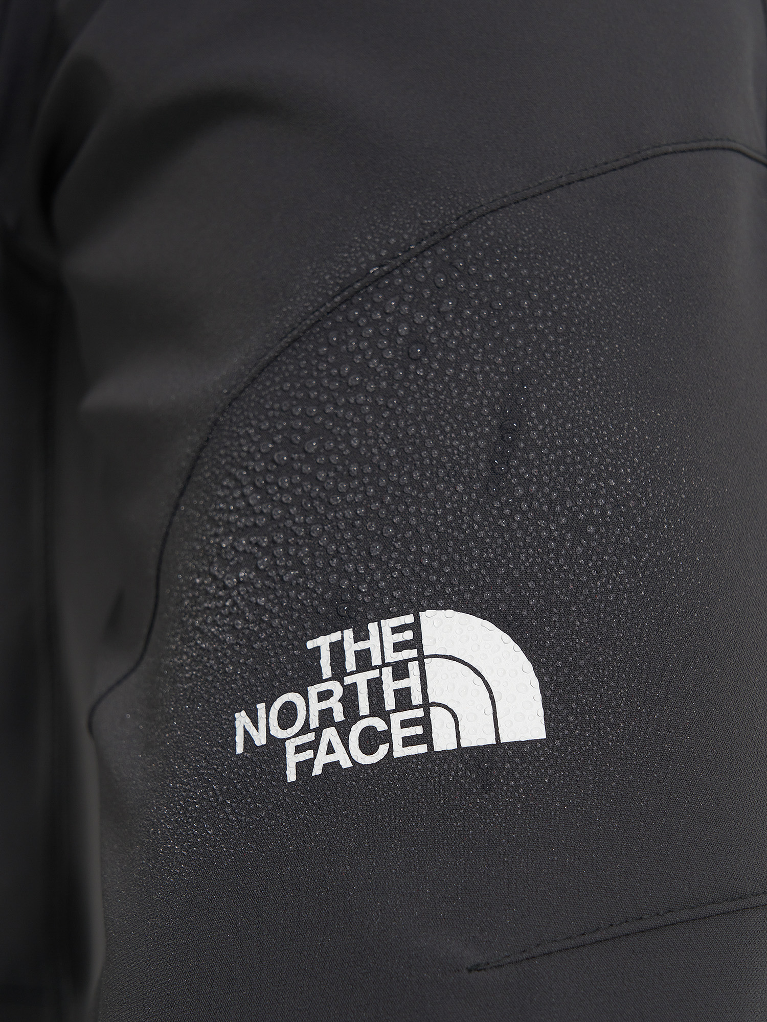 фото Брюки мужские the north face diablo reg, серый