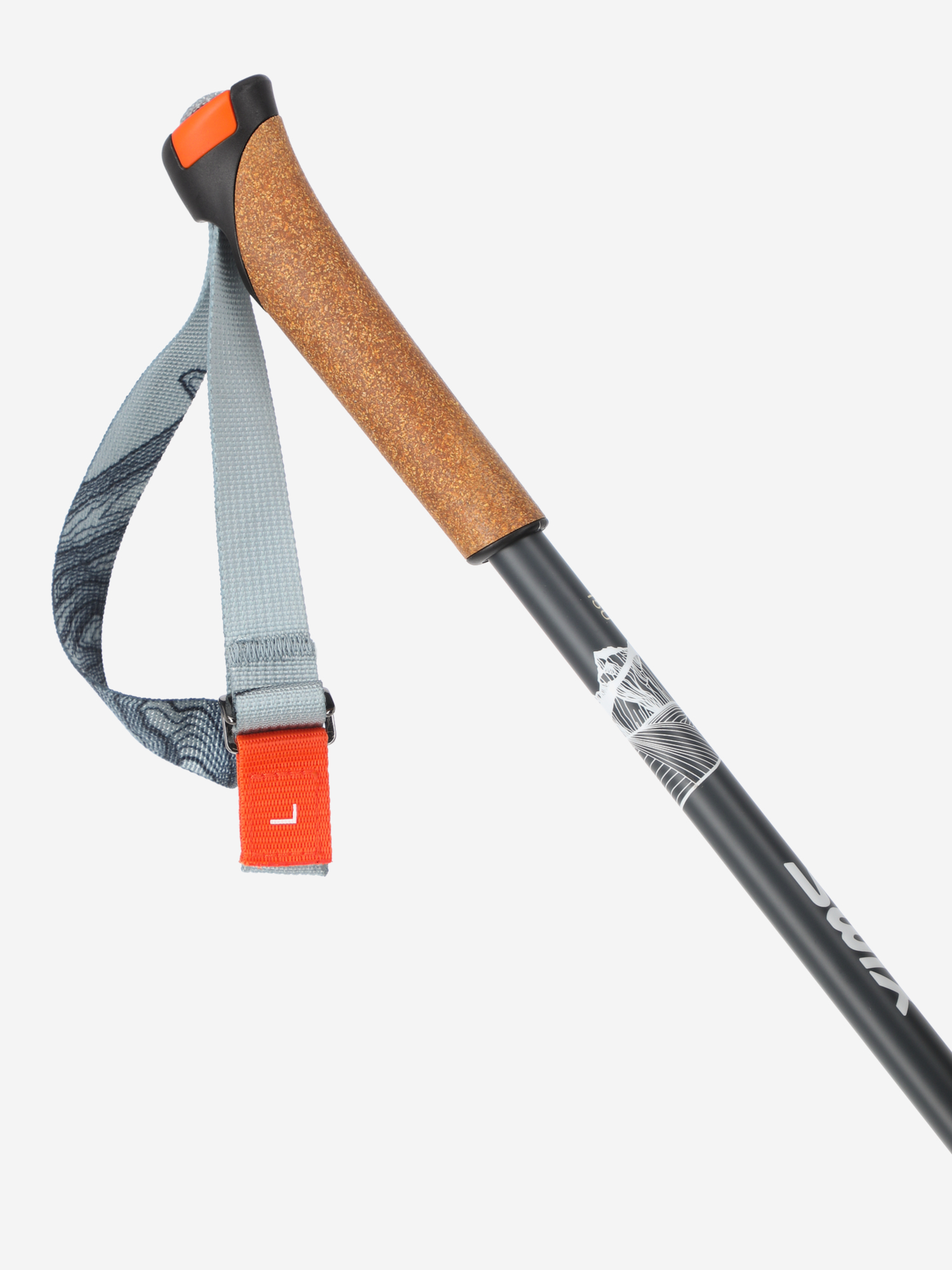 фото Палки для беговых лыж swix blizzard mountain touring, мультицвет