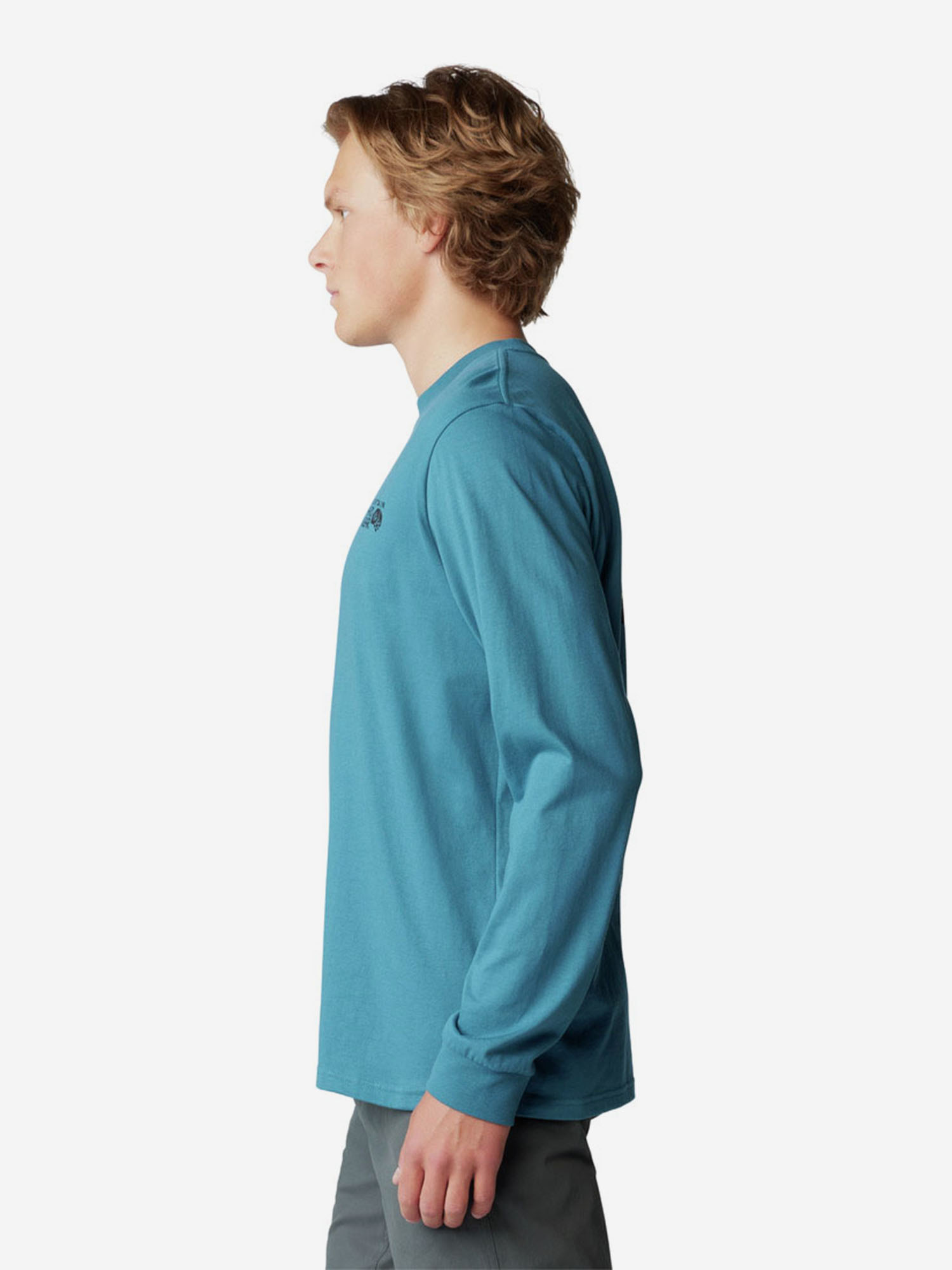 фото Лонгслив мужской mountain hardwear box logo, голубой