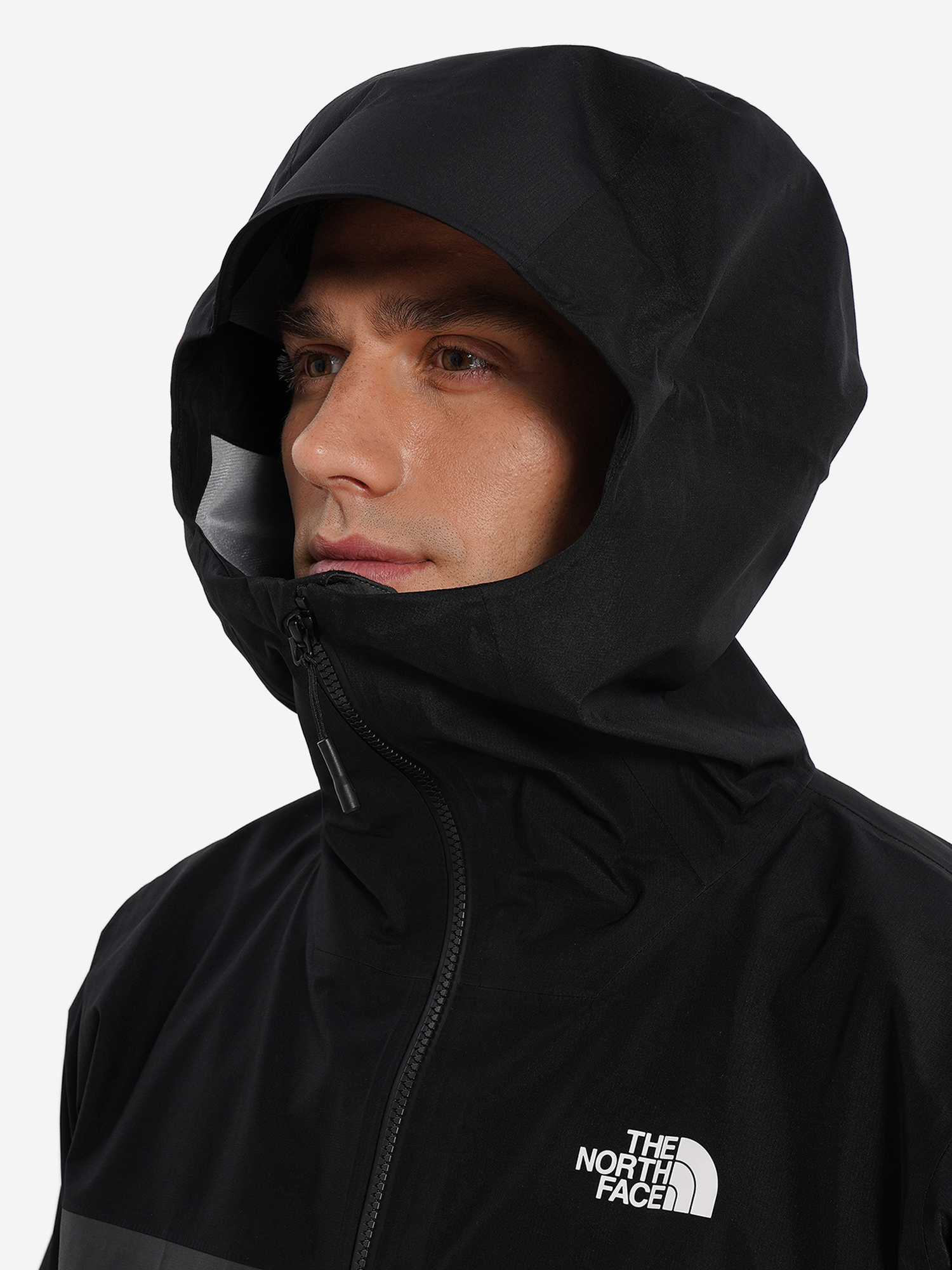фото Куртка мембранная мужская the north face jazzi 3 l gtx, серый