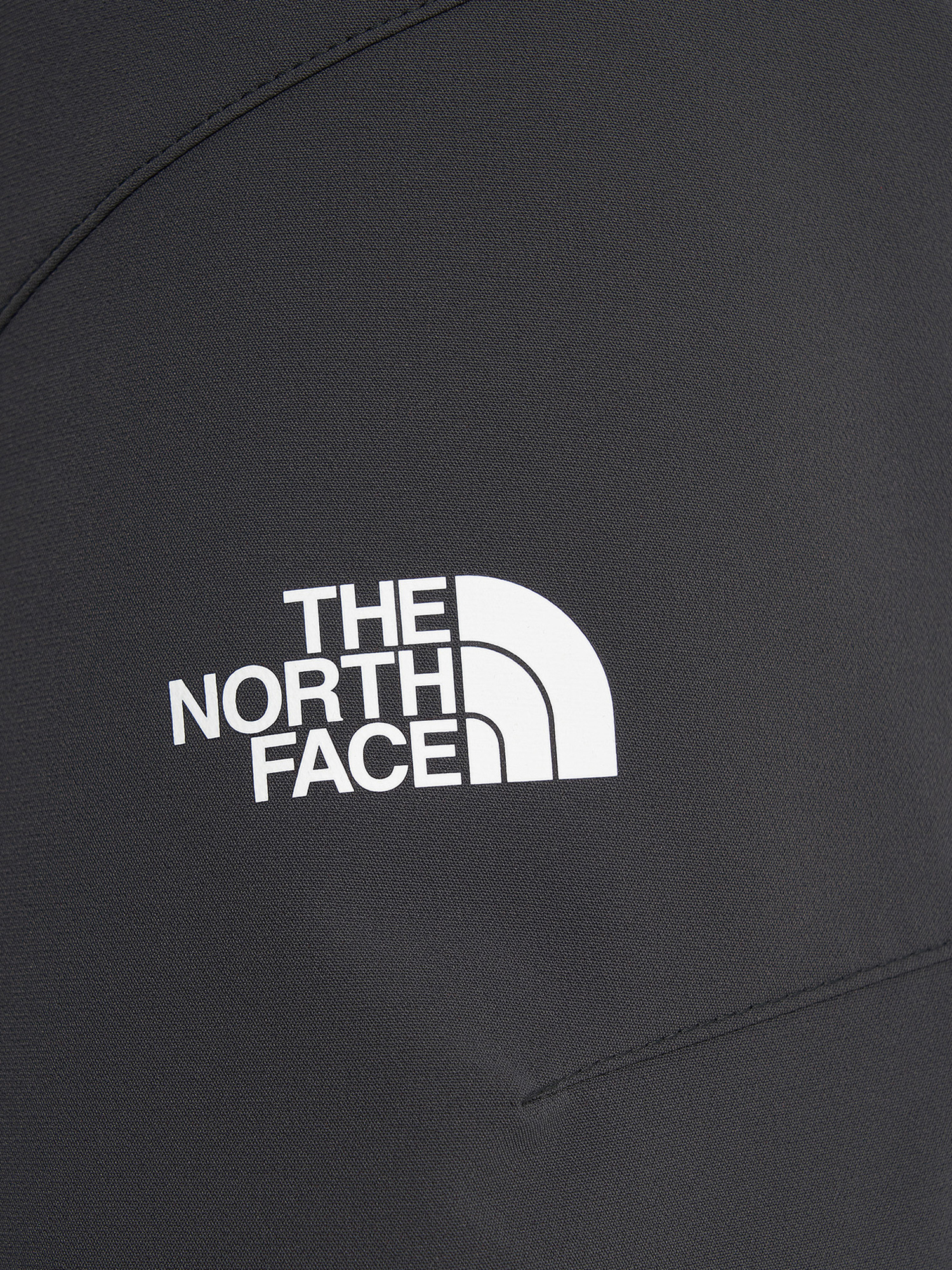 фото Брюки мужские the north face diablo reg, серый