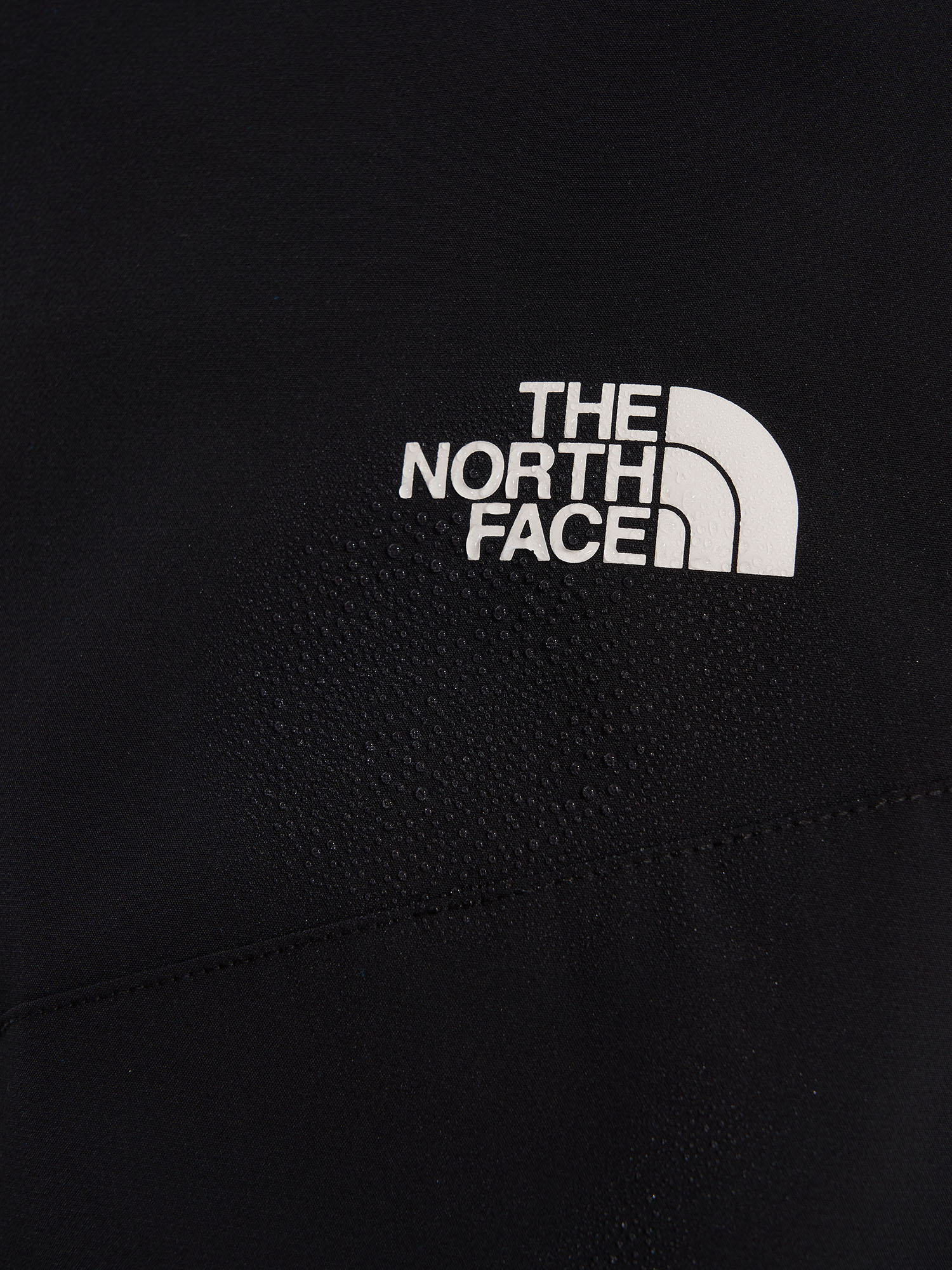 фото Брюки мужские the north face alpine ridge, черный