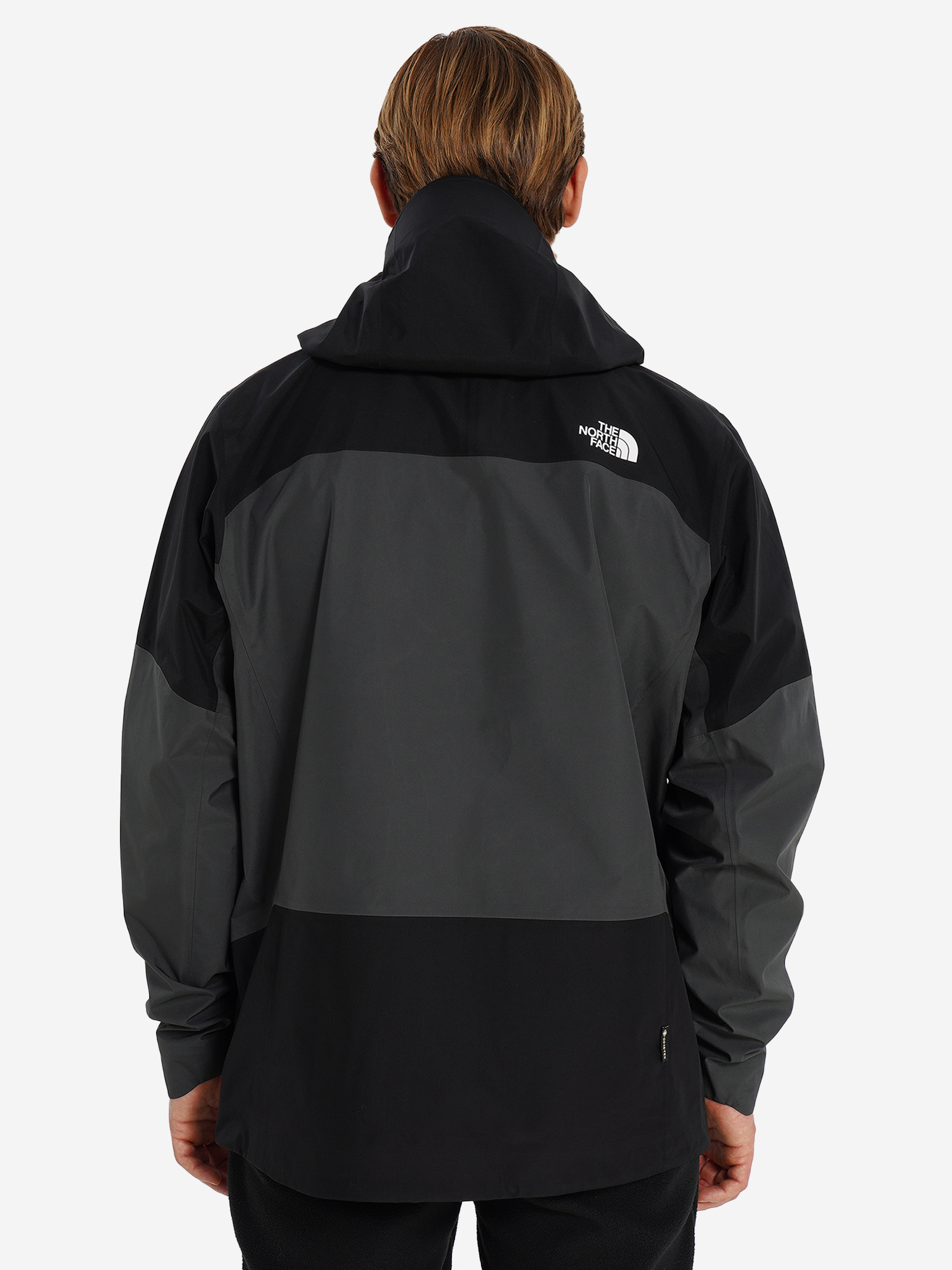 фото Куртка мембранная мужская the north face jazzi 3 l gtx, серый