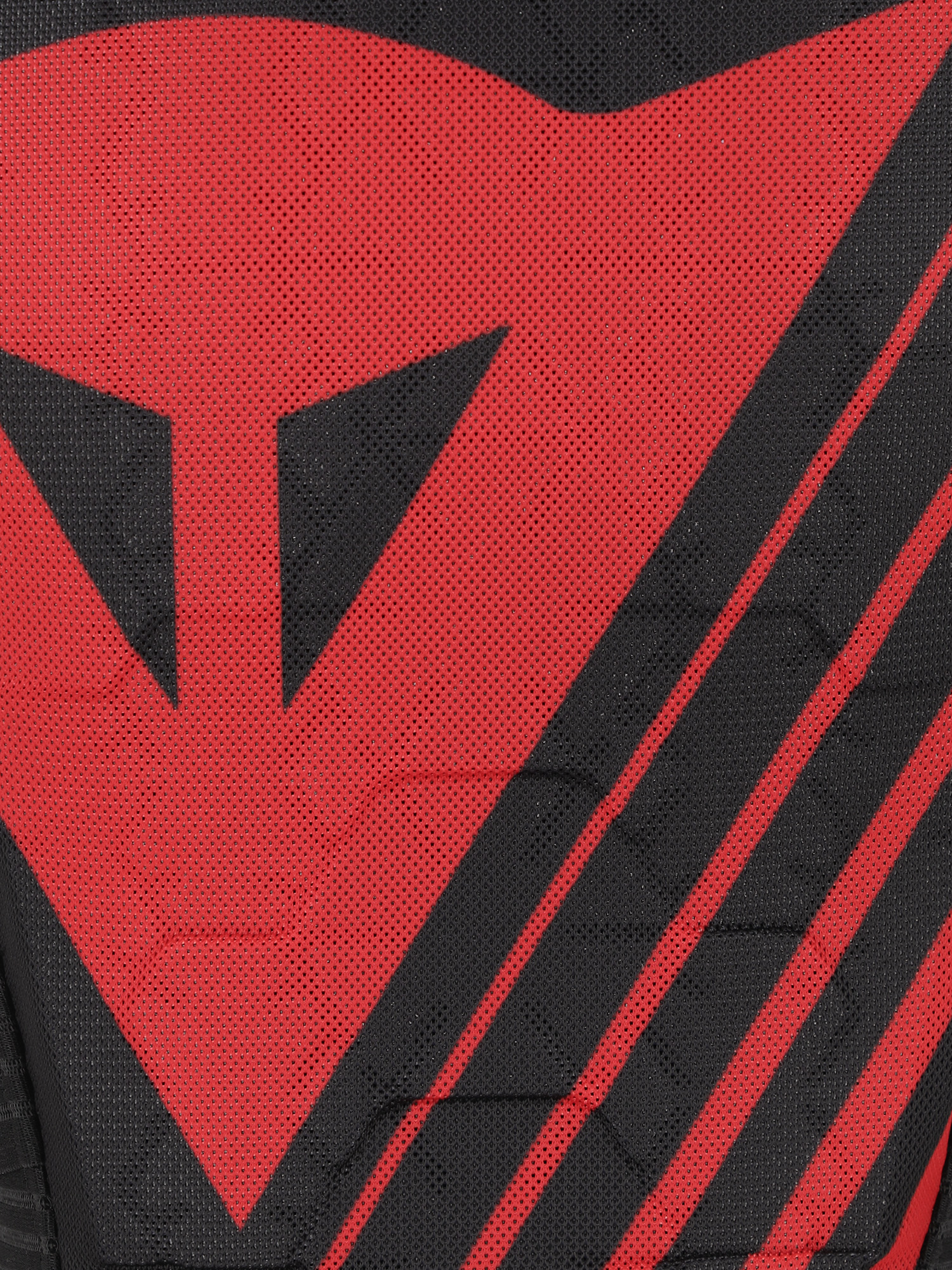 фото Защита спины детская dainese scarabeo bap, черный