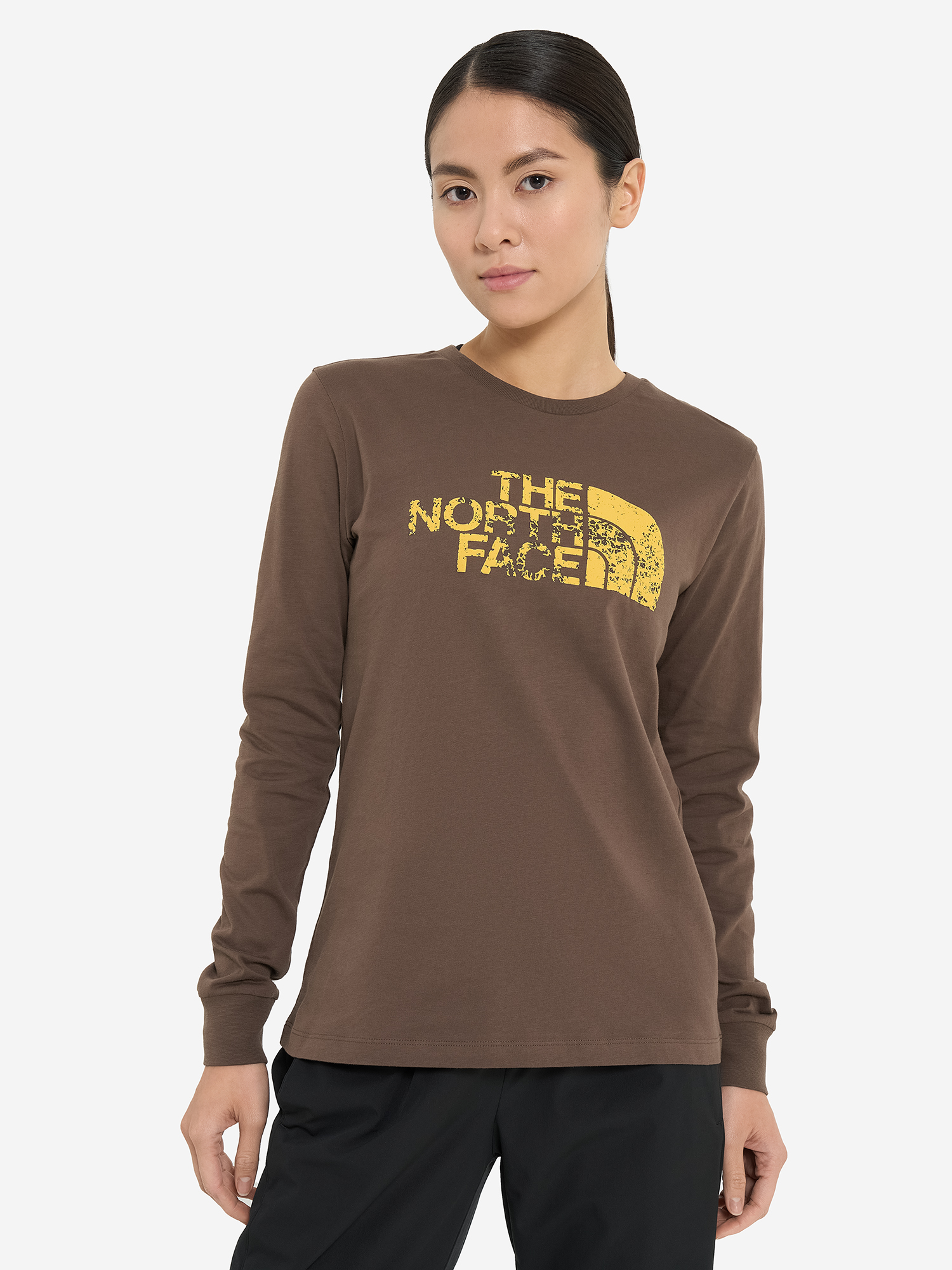 фото Лонгслив женский the north face seasonal logo, коричневый