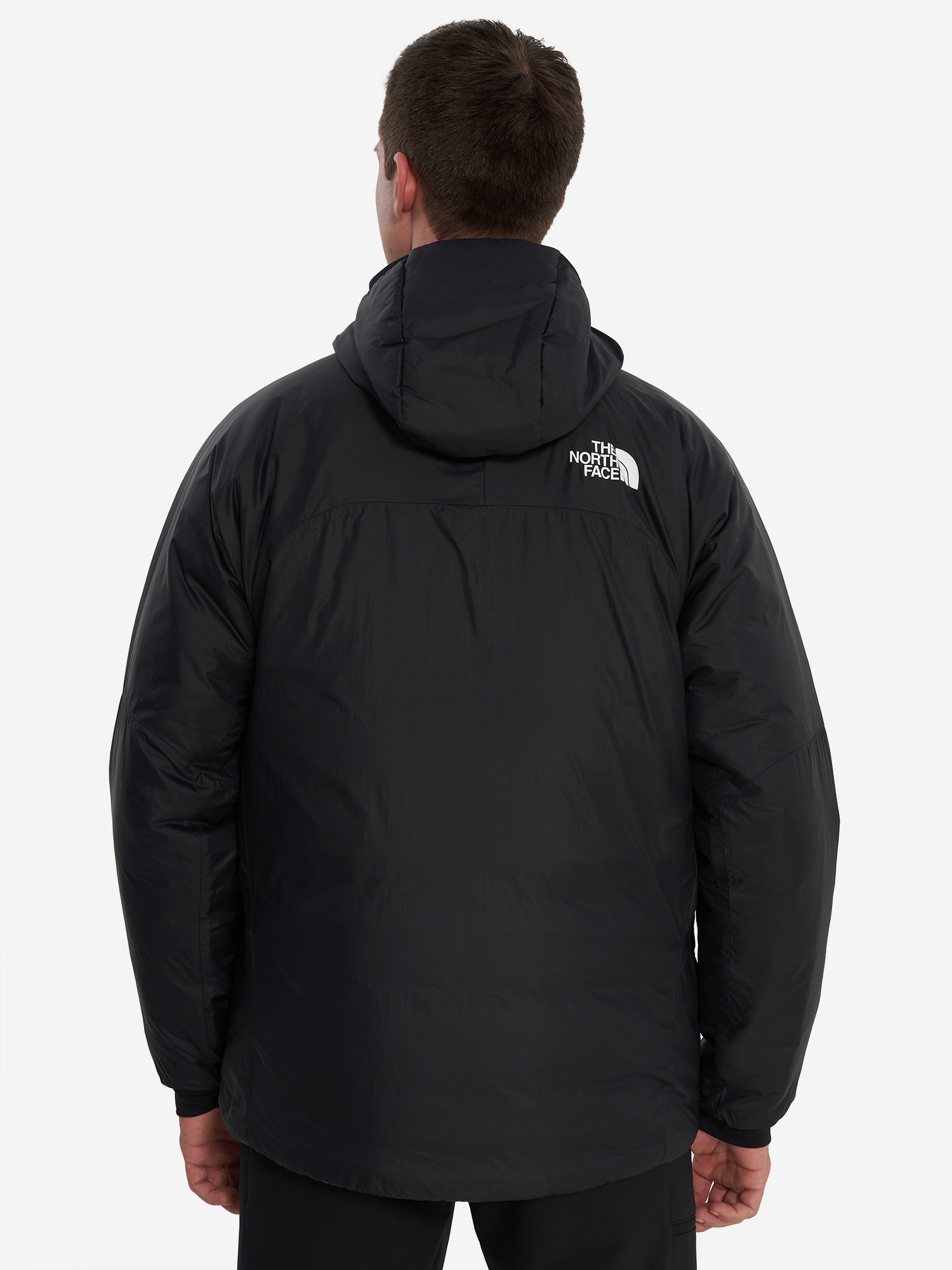 фото Куртка утепленная мужская the north face andola, черный