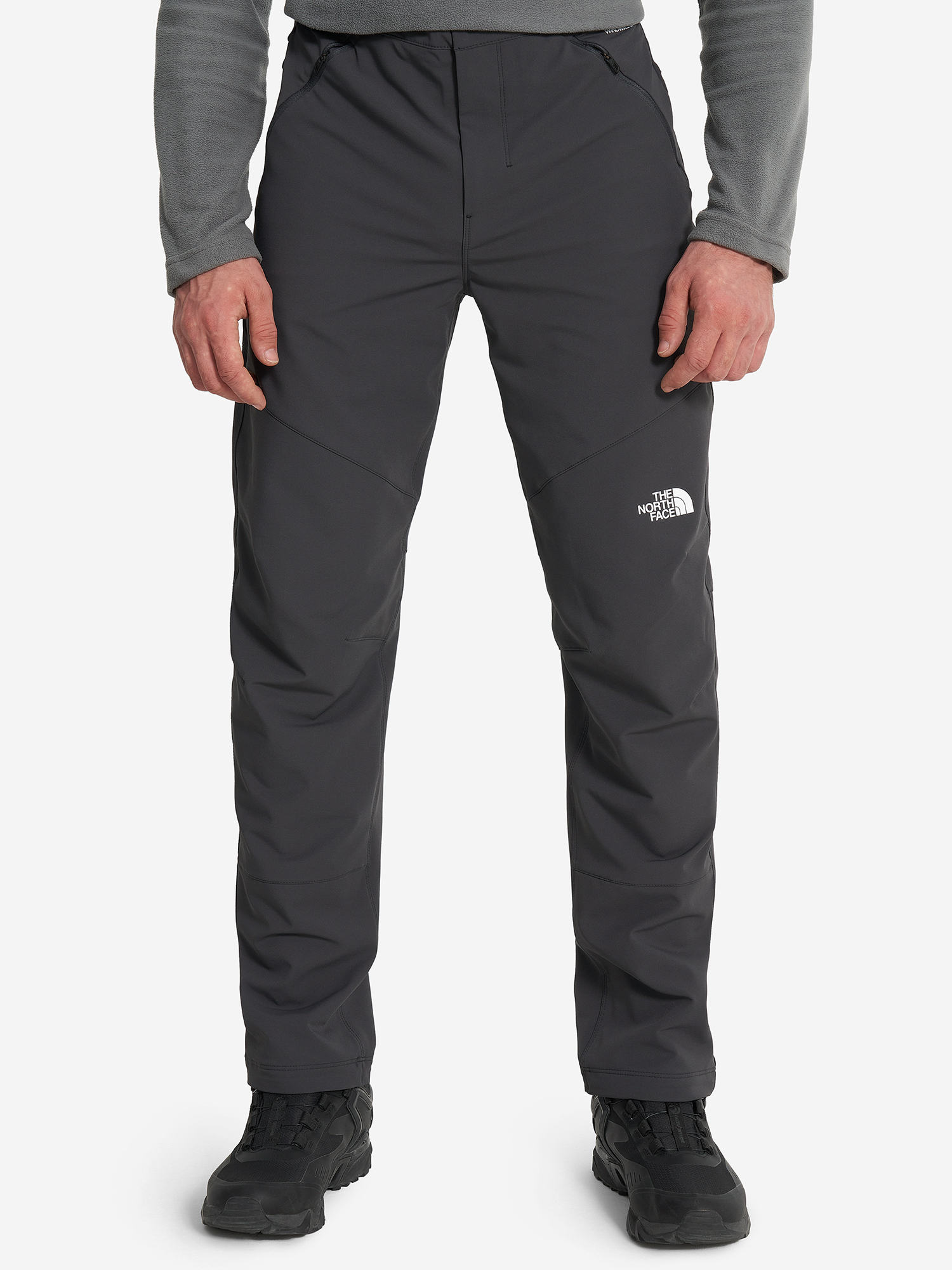 фото Брюки мужские the north face diablo reg, серый