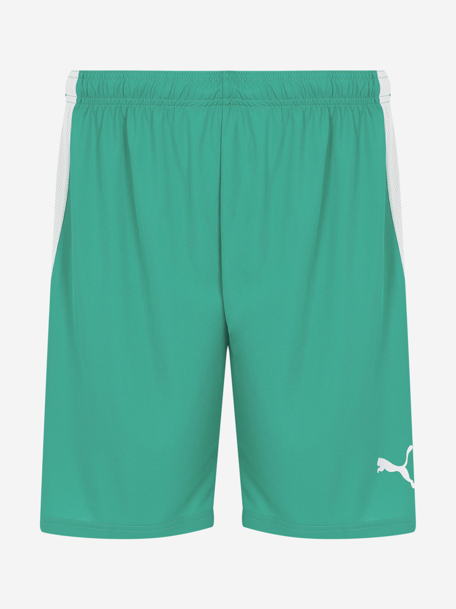 фото Шорты мужские puma teamliga, зеленый
