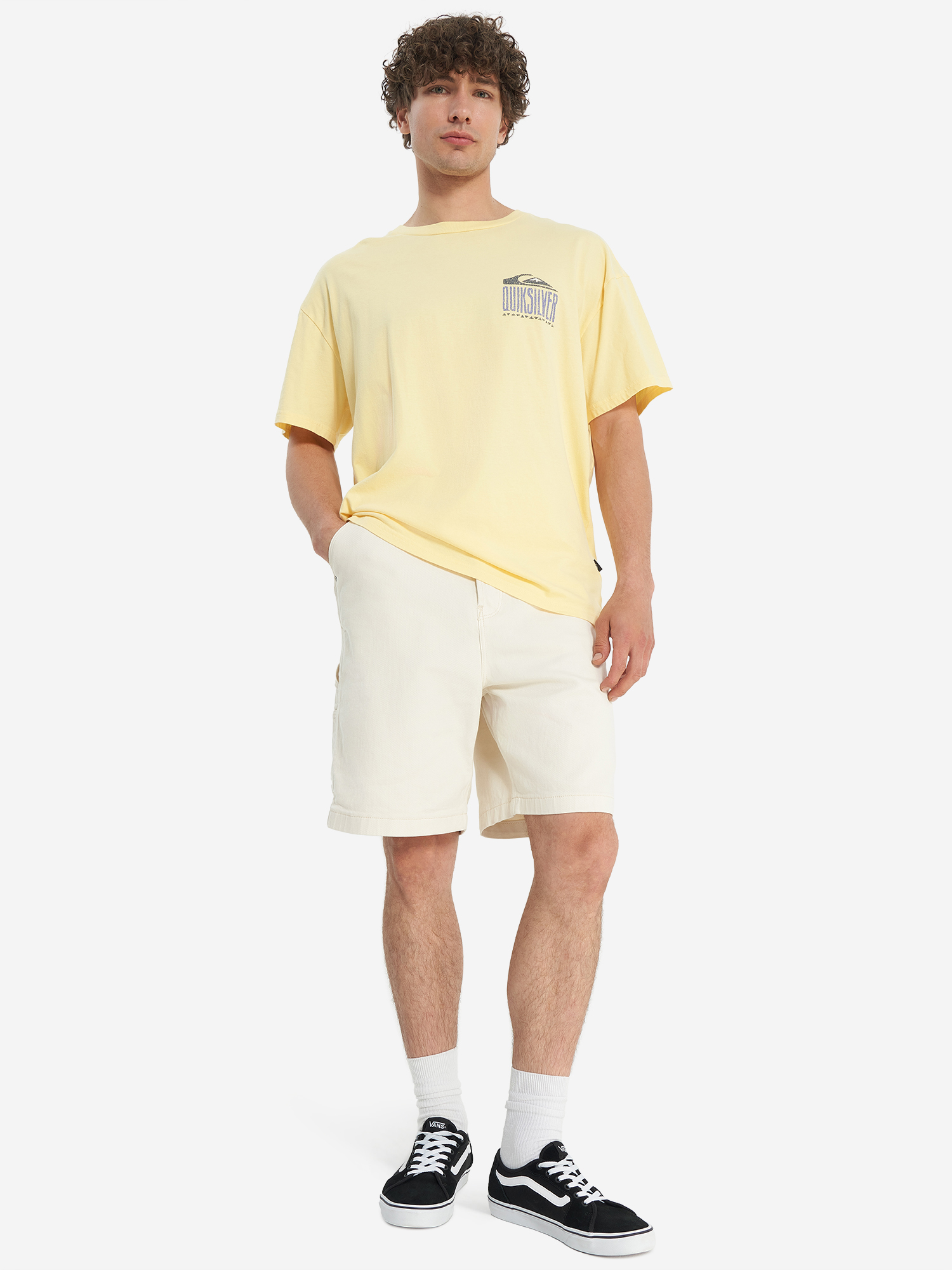 фото Шорты мужские оверсайз dc shoes carpenter baggy, бежевый