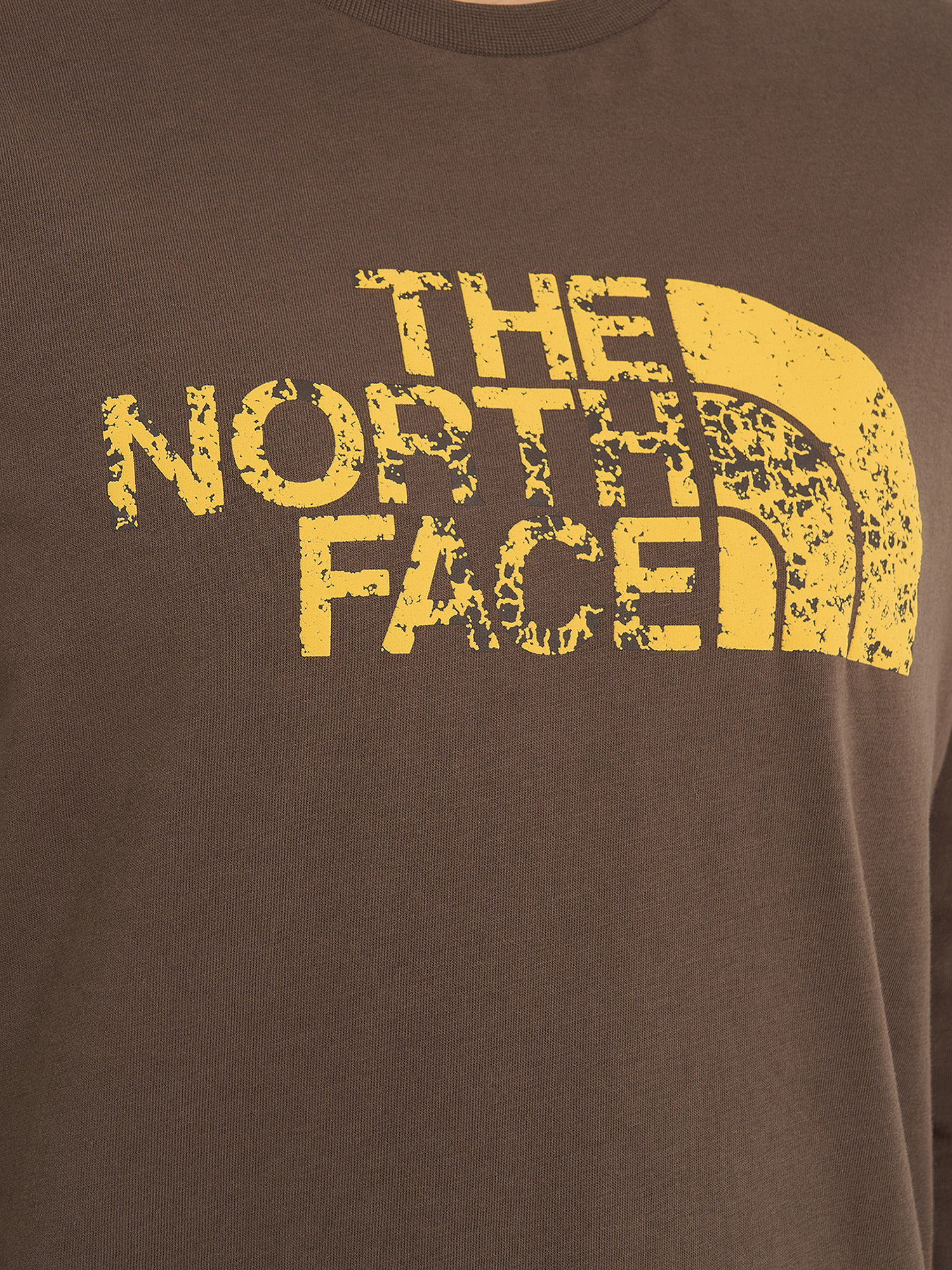 фото Лонгслив женский the north face seasonal logo, коричневый