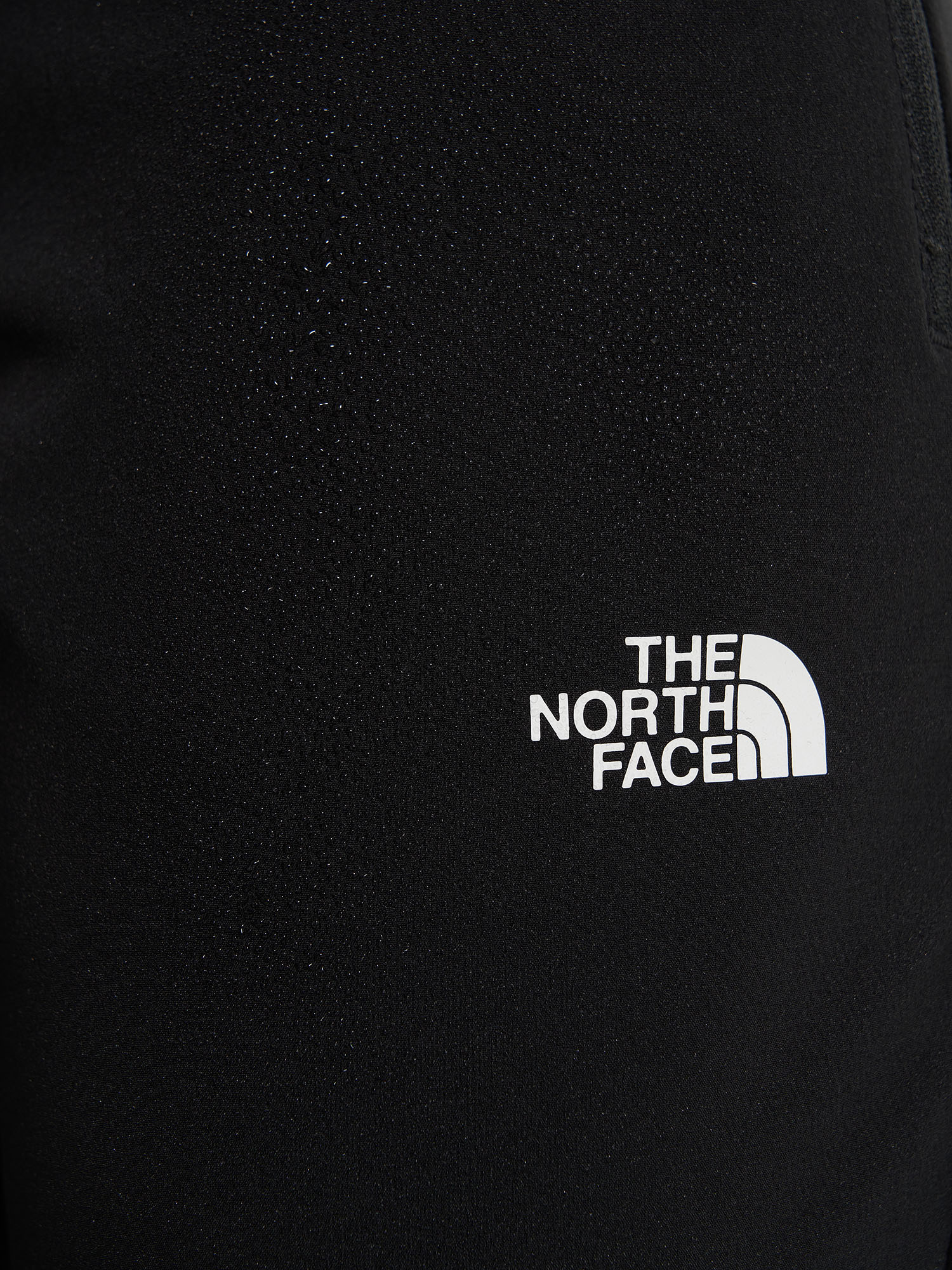 фото Брюки женские the north face basin pan, черный