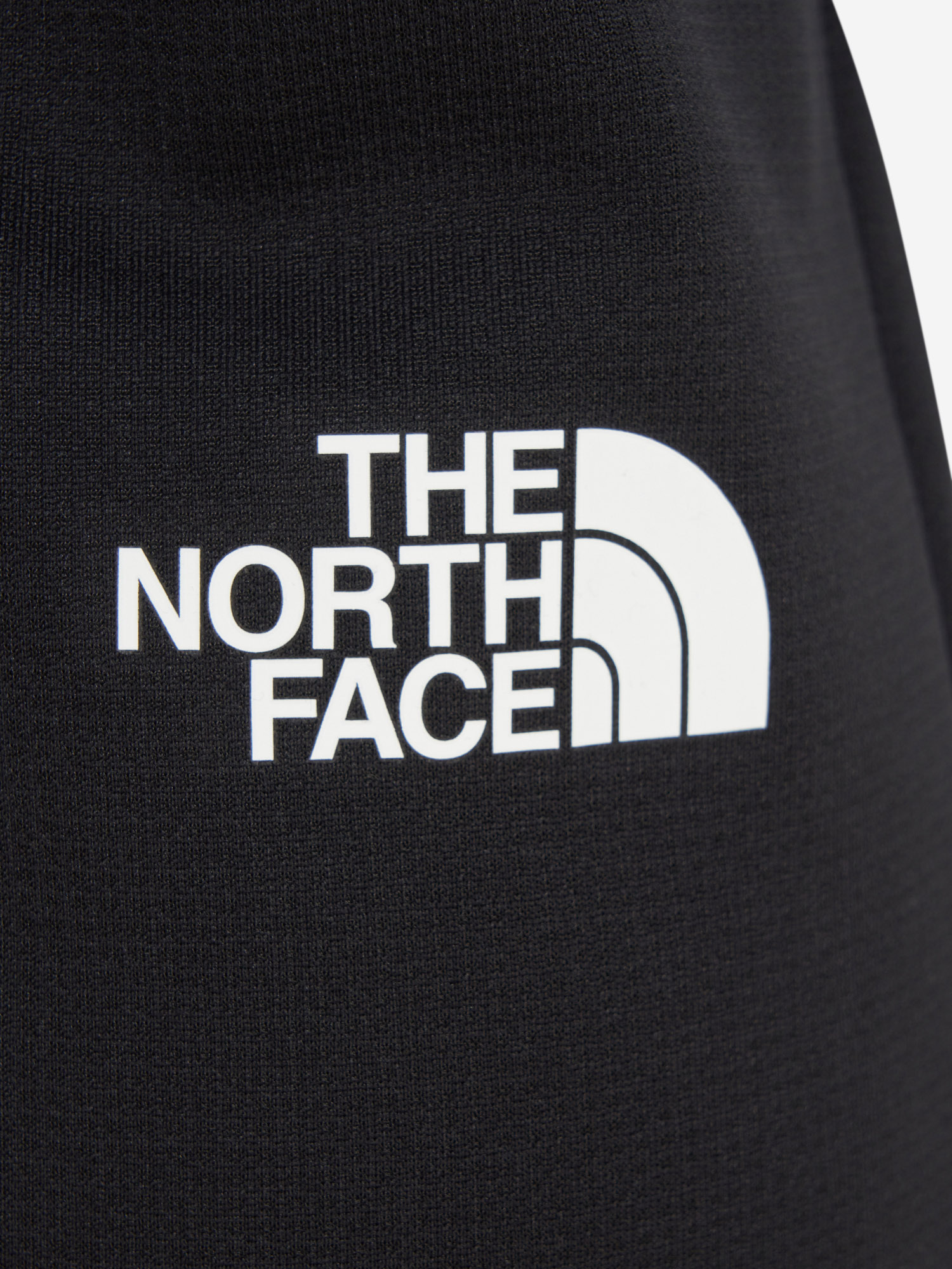 фото Брюки мужские the north face reaxion 2.0, черный