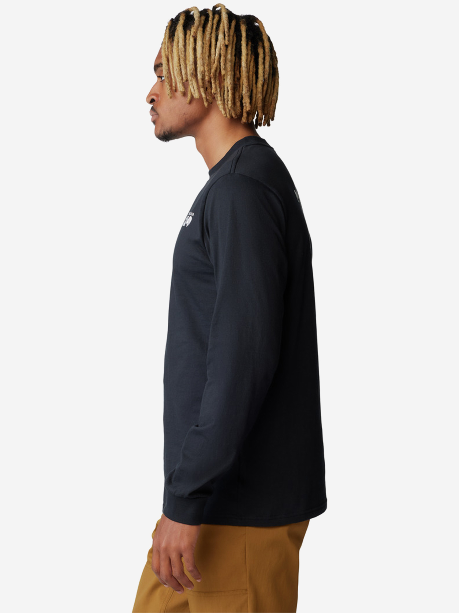 фото Лонгслив мужской mountain hardwear back logo, черный