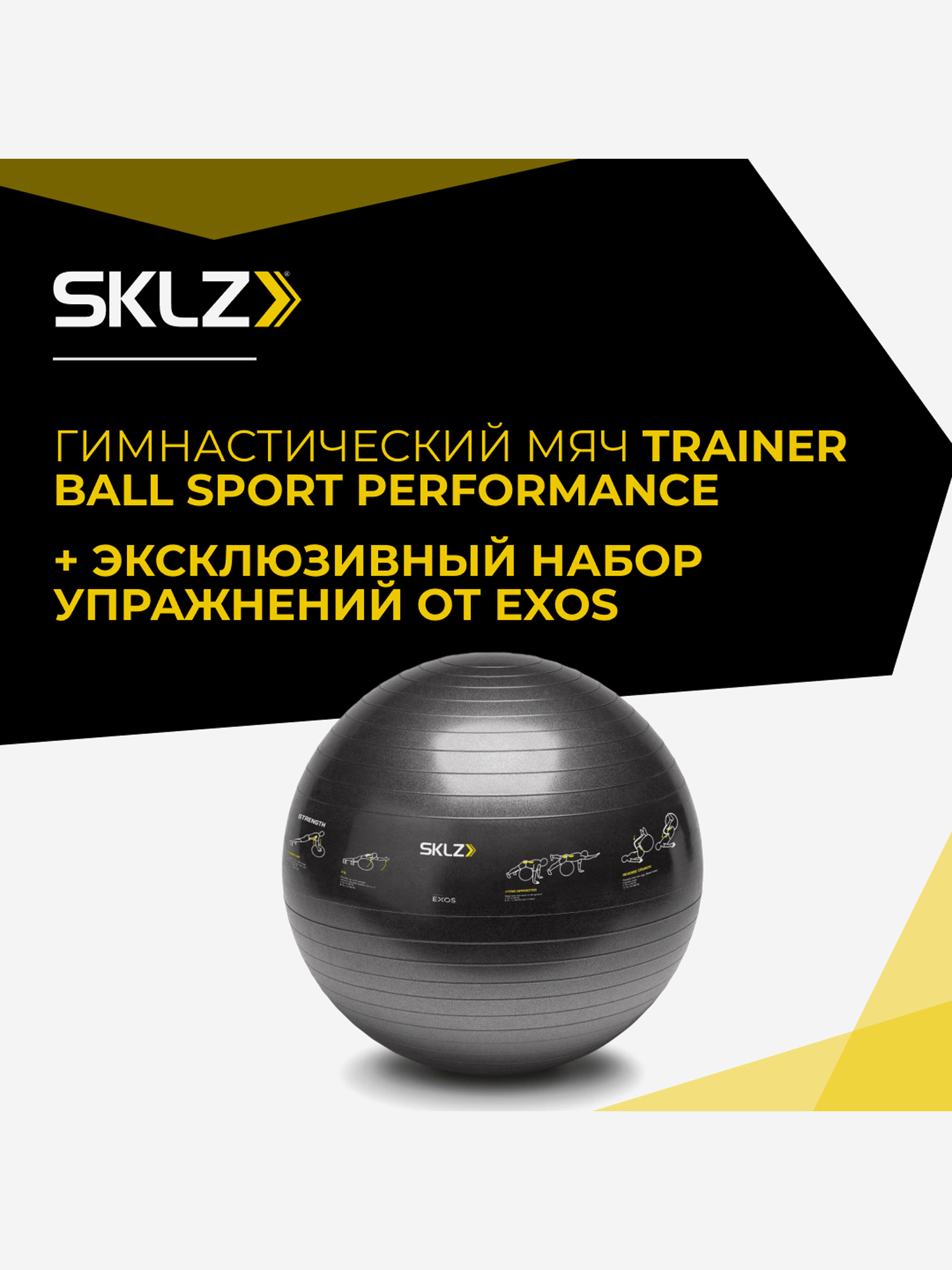Большой мяч для фитнеса, фитбол с комплексом упражнений, 65 см SKLZ TRAINER BALL, Черный
Большой мяч для фитнеса, фитбол с комплексом упражнений, 65 см SKLZ TRAINER BALL, Черный