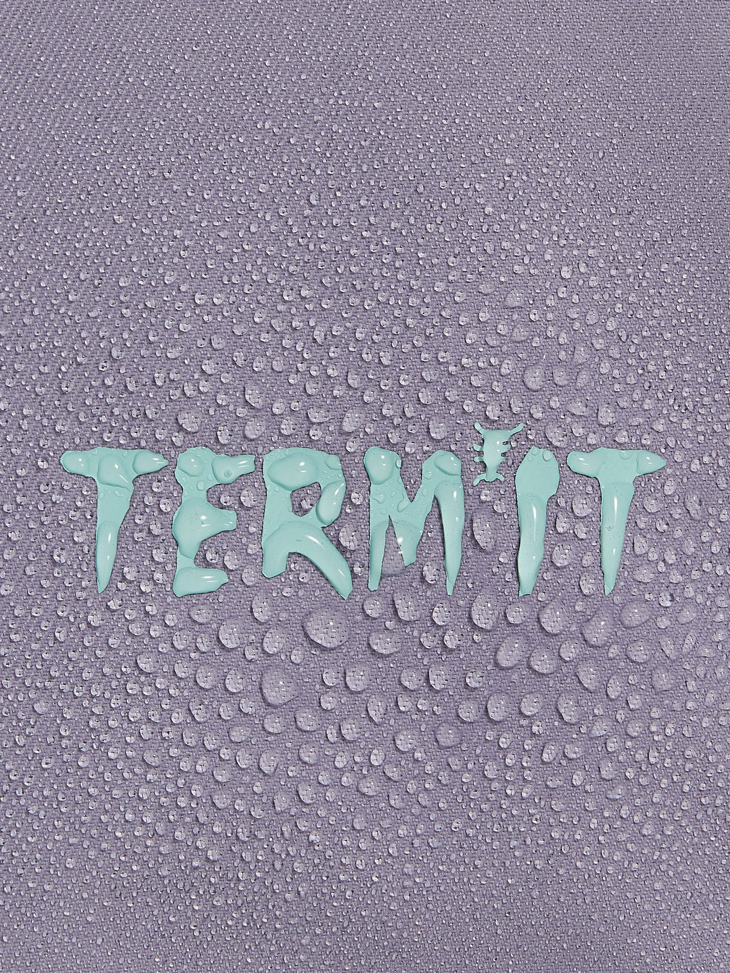 фото Брюки утепленные женские termit, фиолетовый