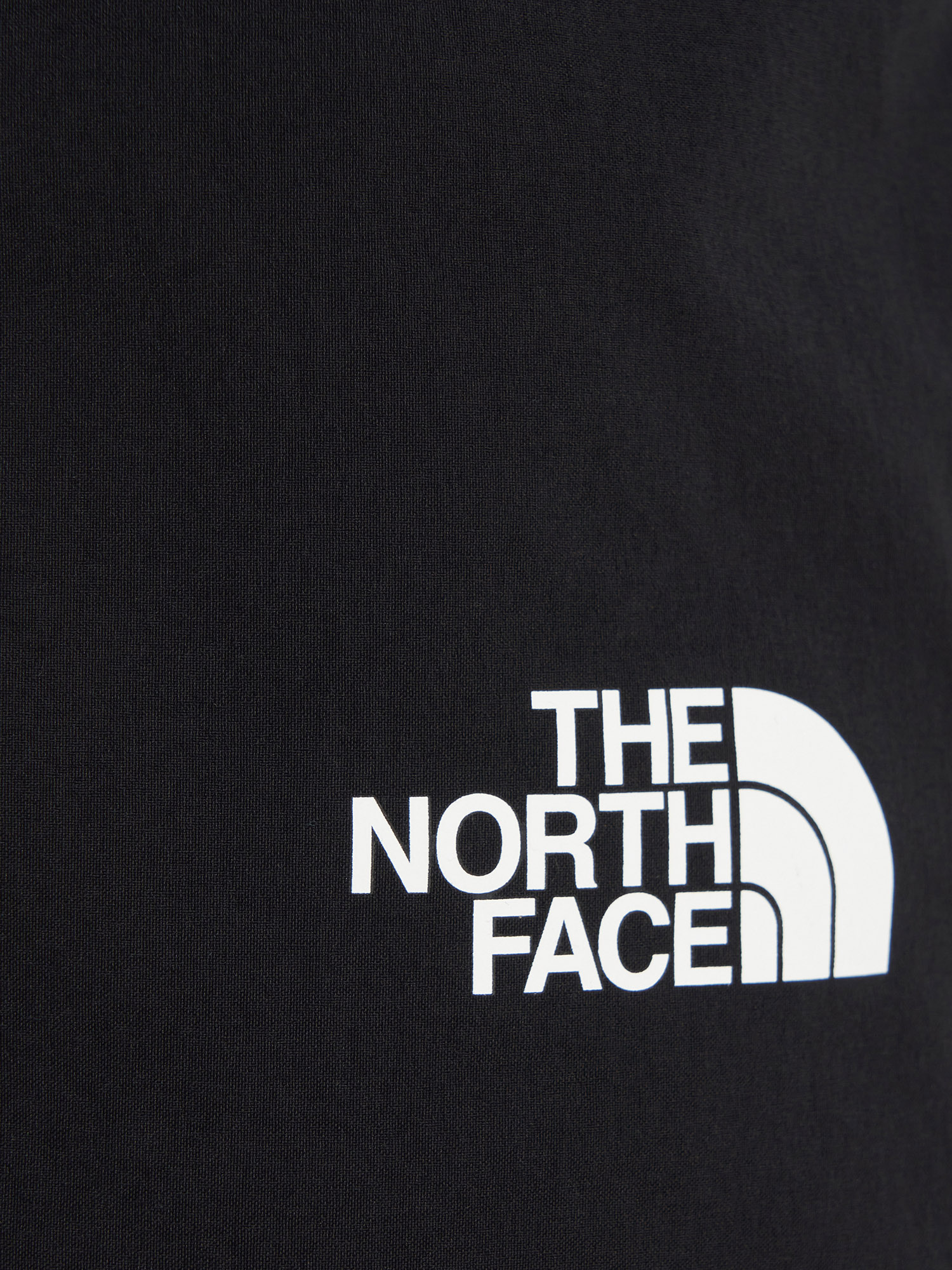 фото Брюки утепленные мужские the north face winter exploration reg, черный