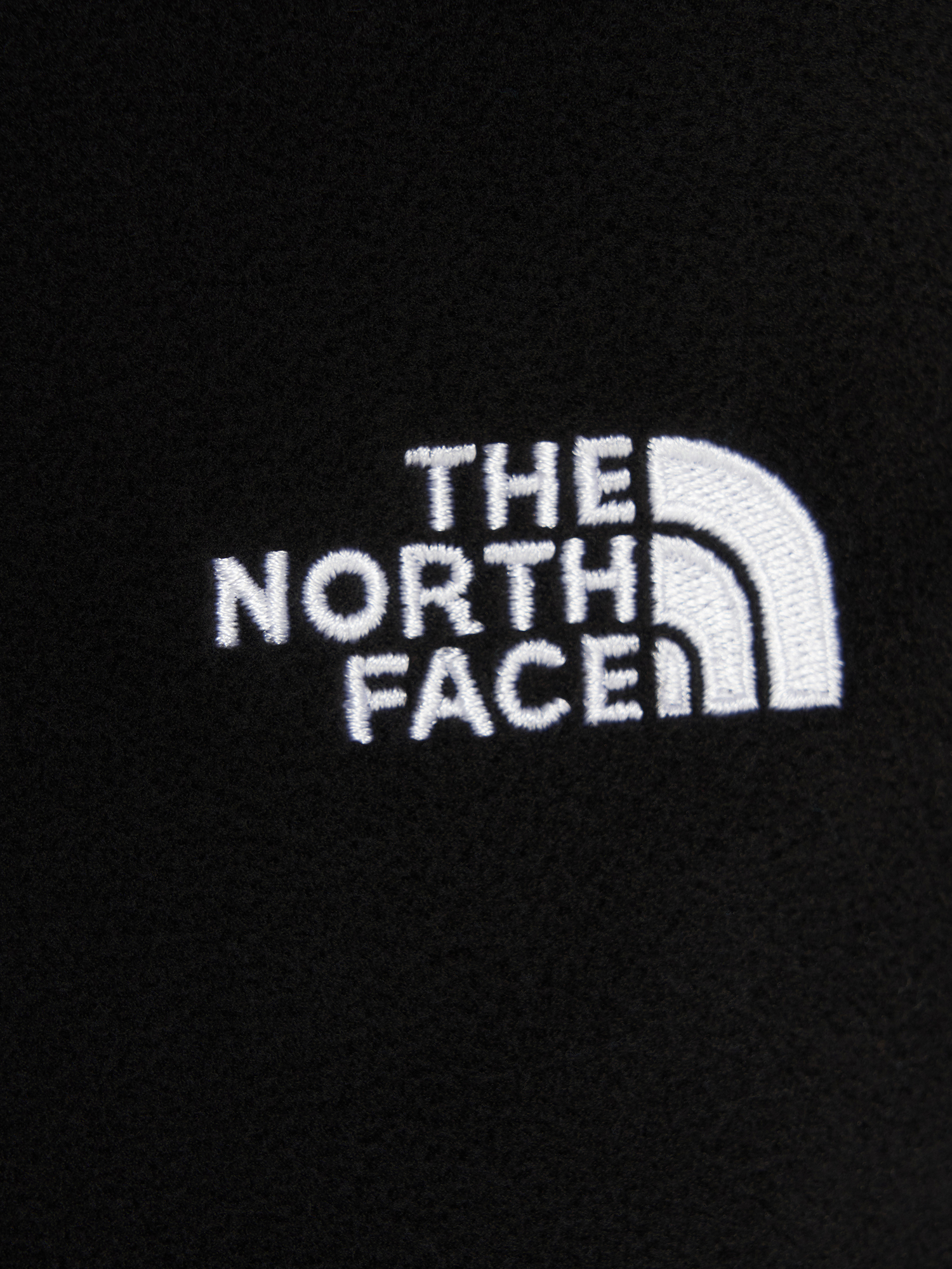 фото Брюки флисовые мужские the north face glacier, черный