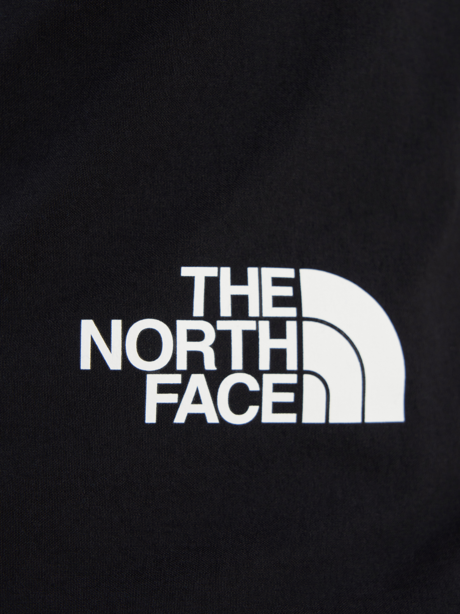 фото Брюки утепленные мужские the north face winter exploration reg, черный